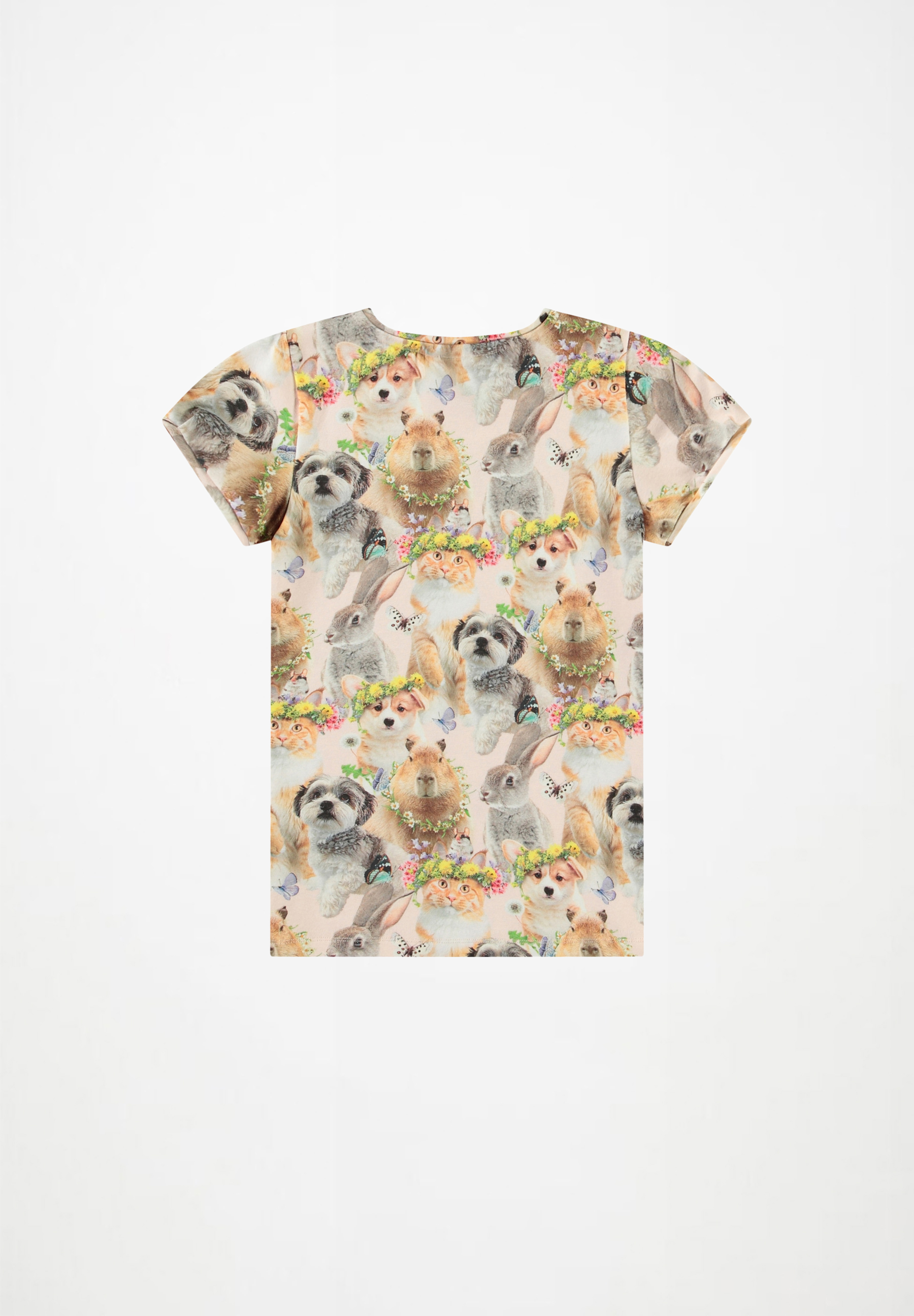 Rimona Festival Friends