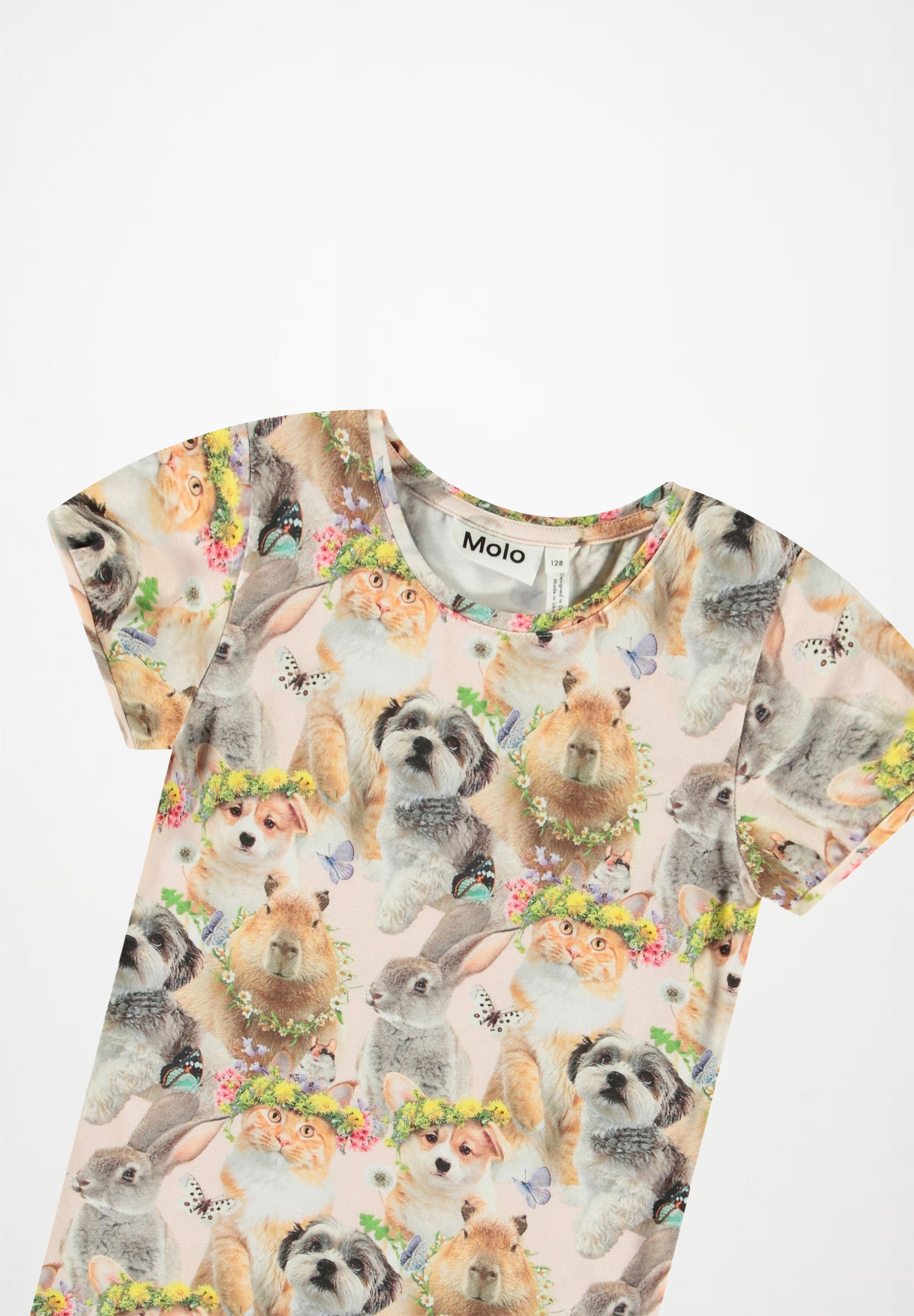 Rimona Festival Friends