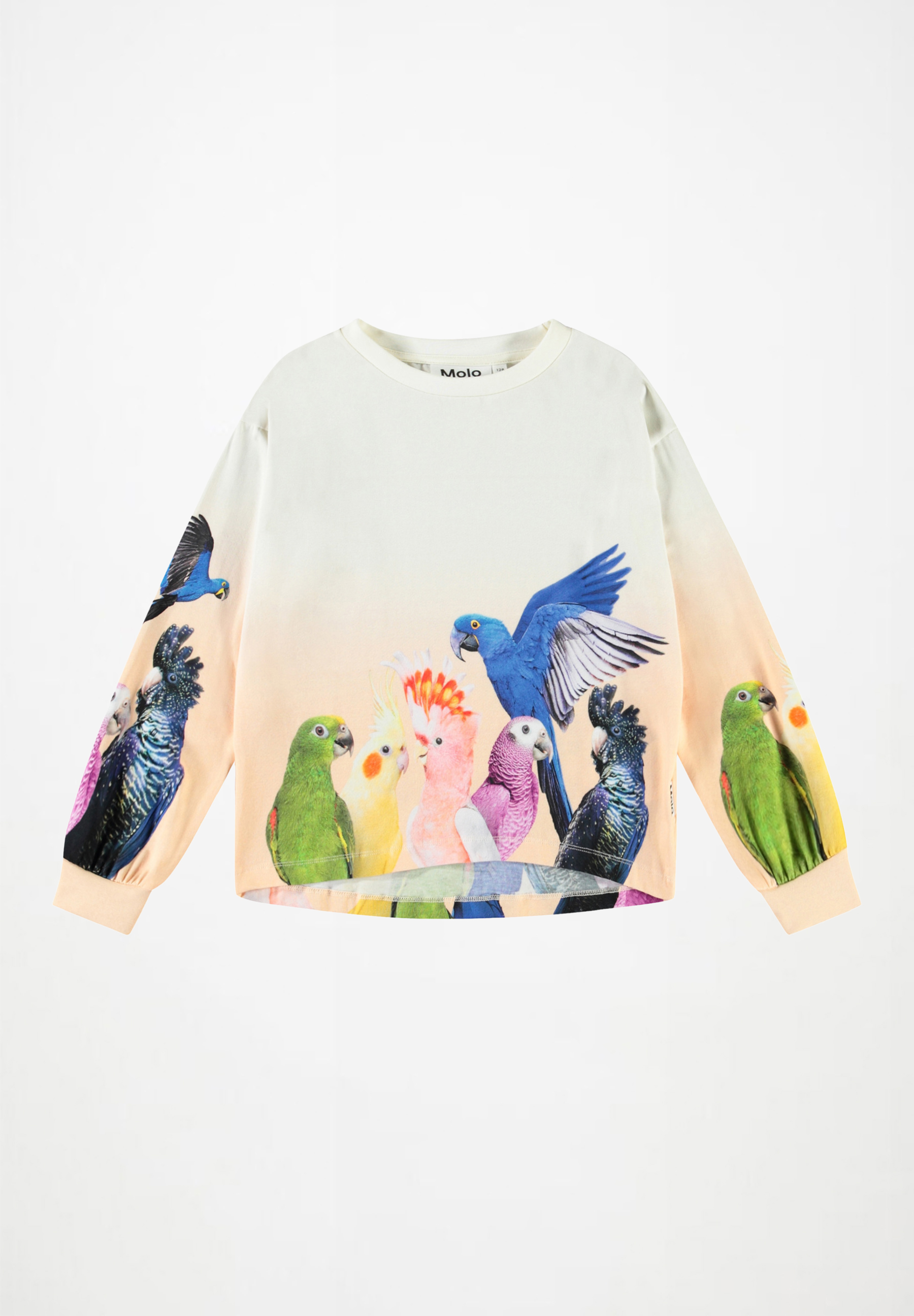 Reniza Group of Parrots