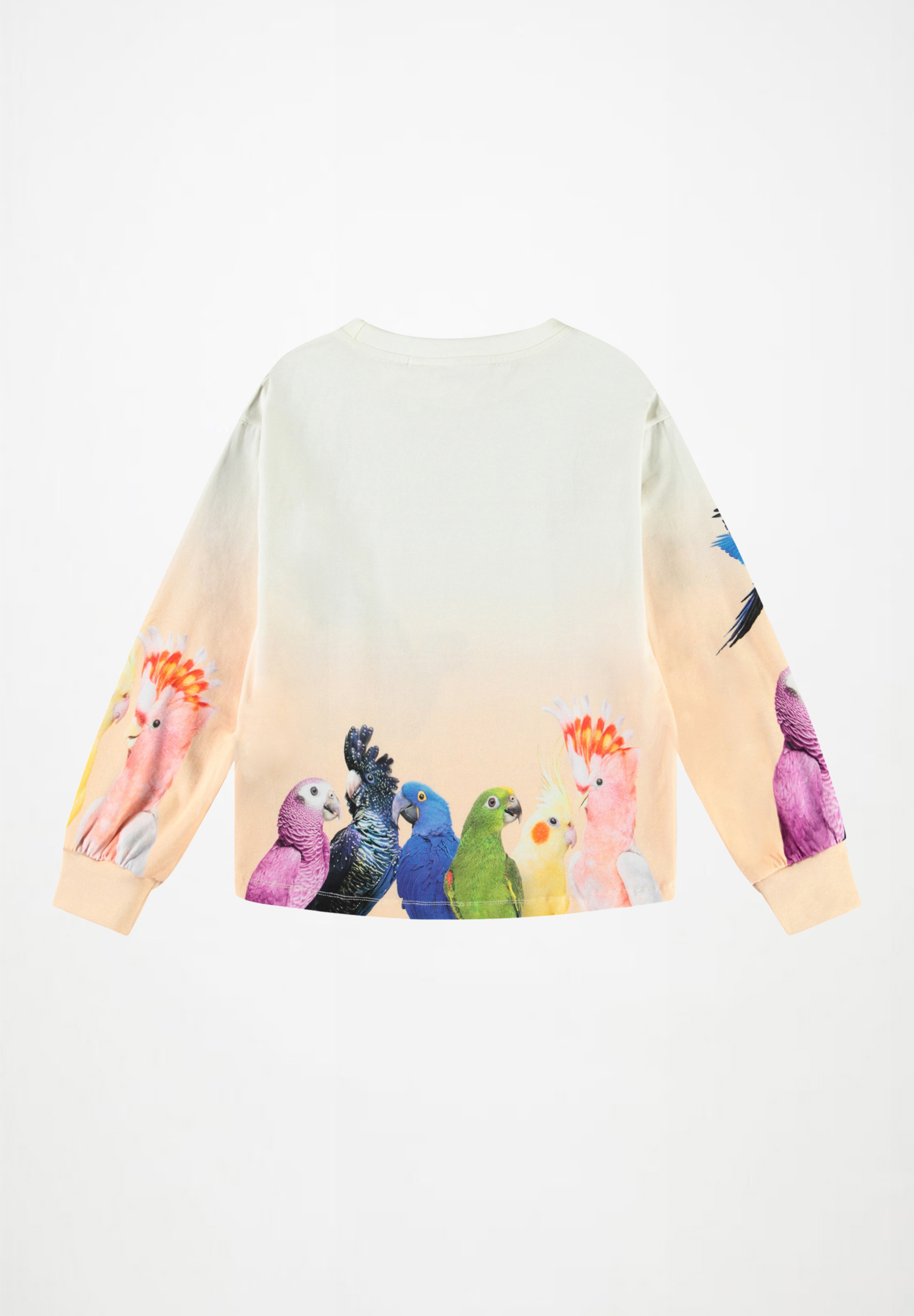 Reniza Group of Parrots