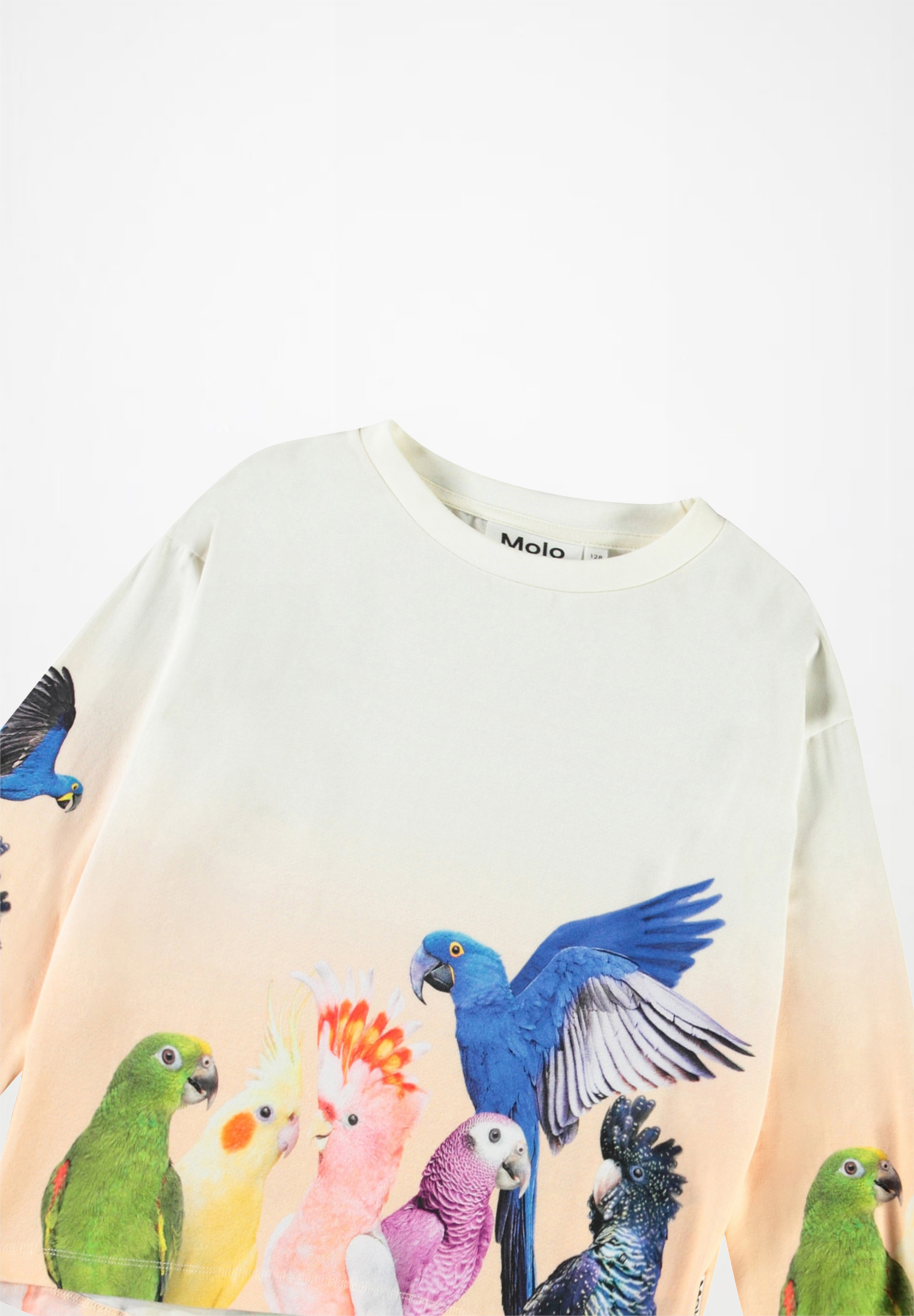 Reniza Group of Parrots