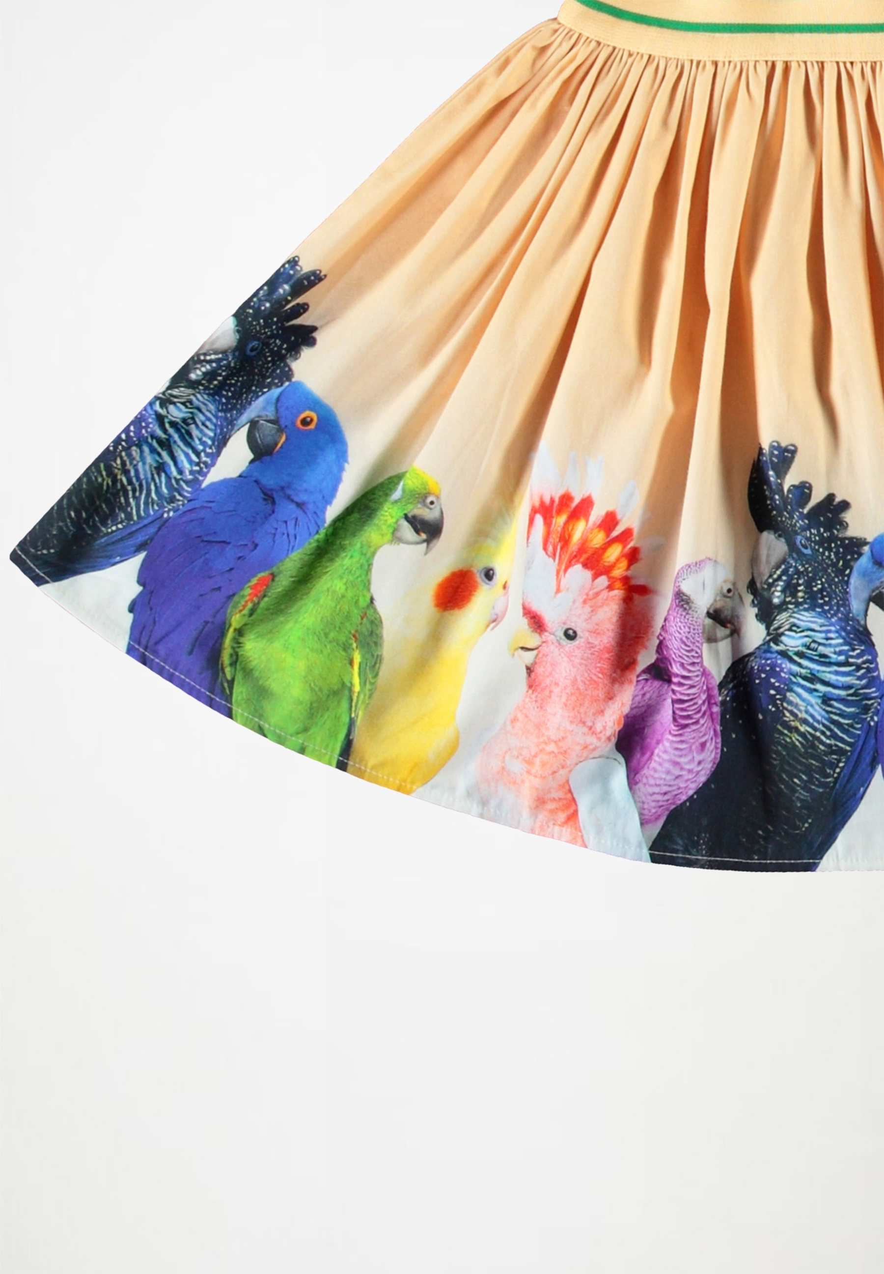 Brenda Rainbow Parrots