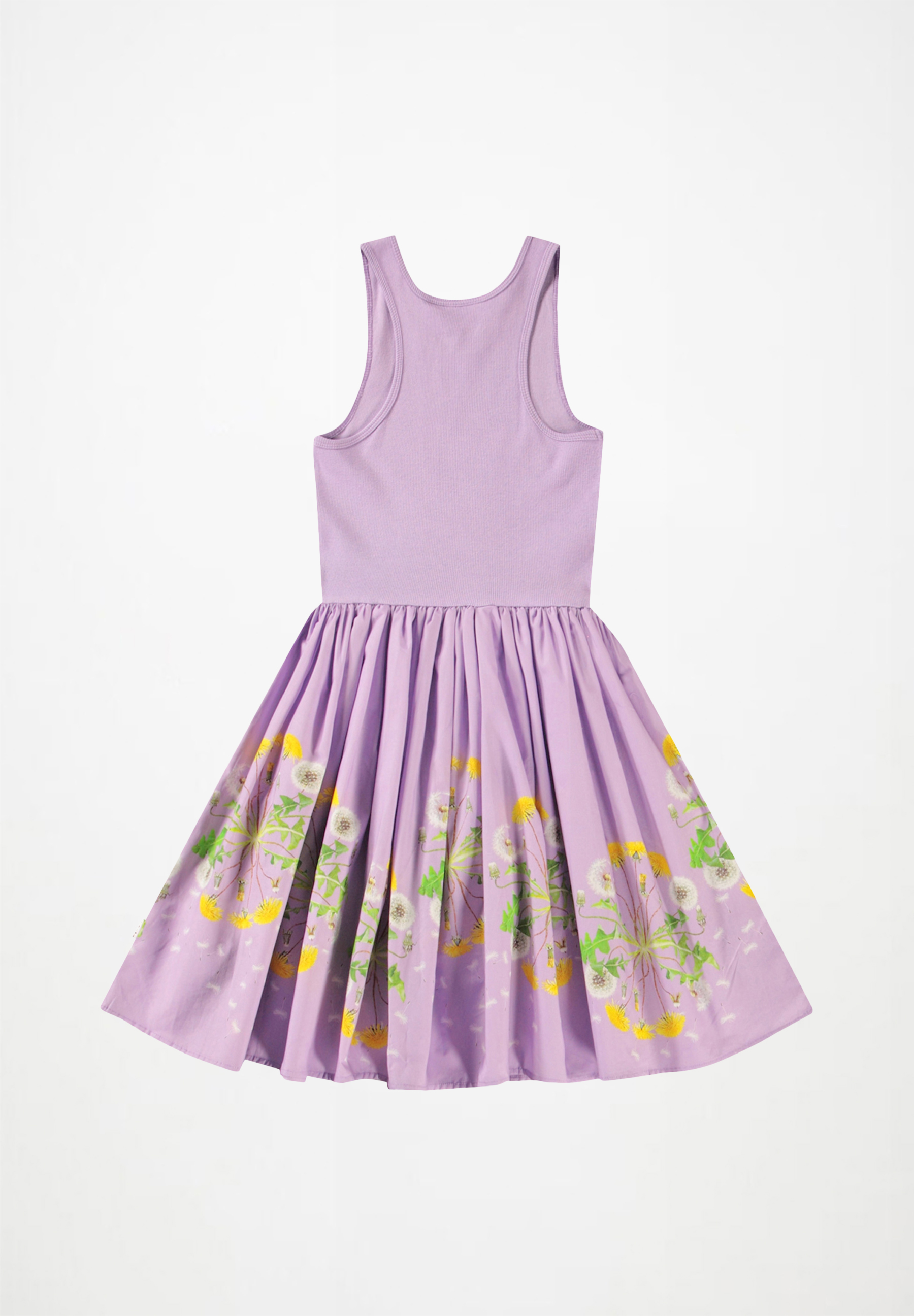 Cassandra Wild Dandelion