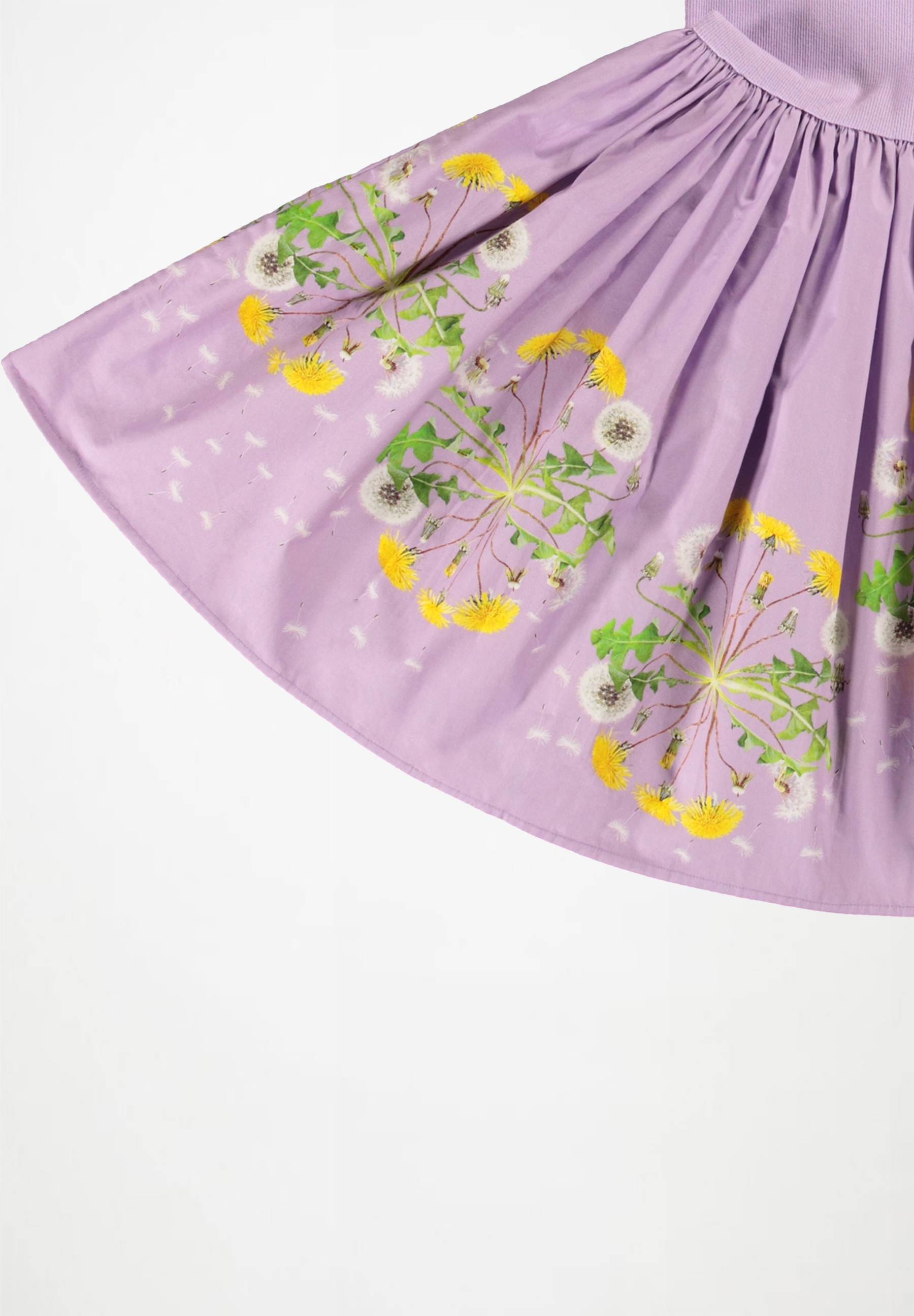 Cassandra Wild Dandelion