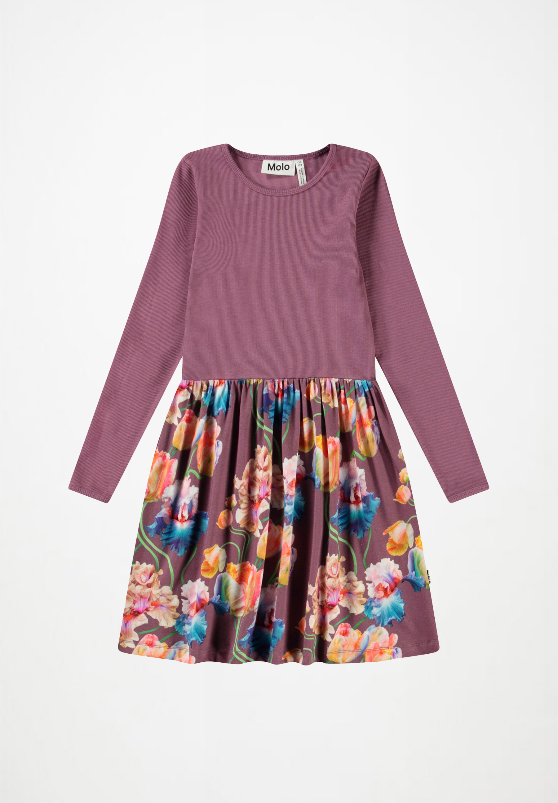 Credence Rainbow Tulips