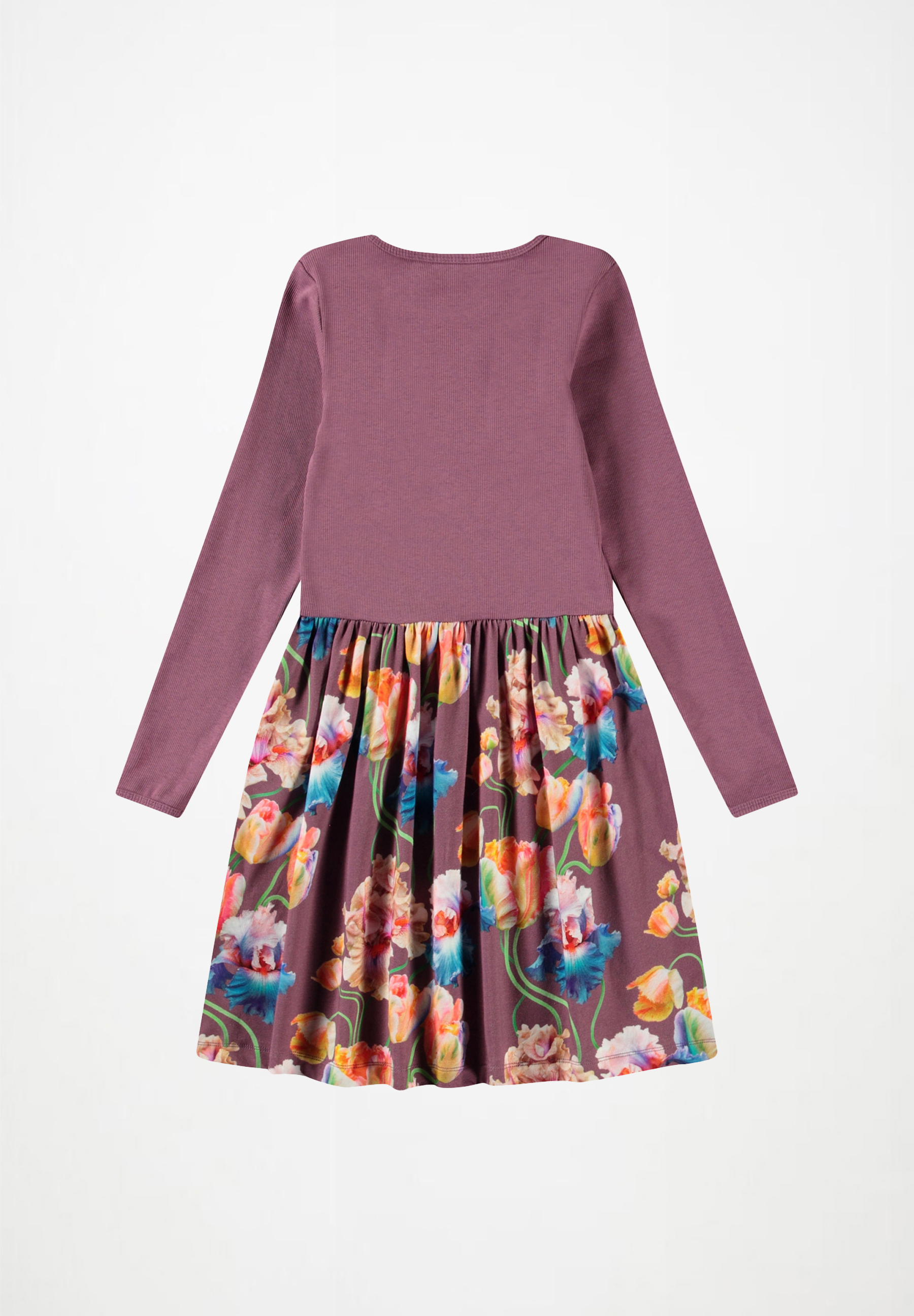 Credence Rainbow Tulips