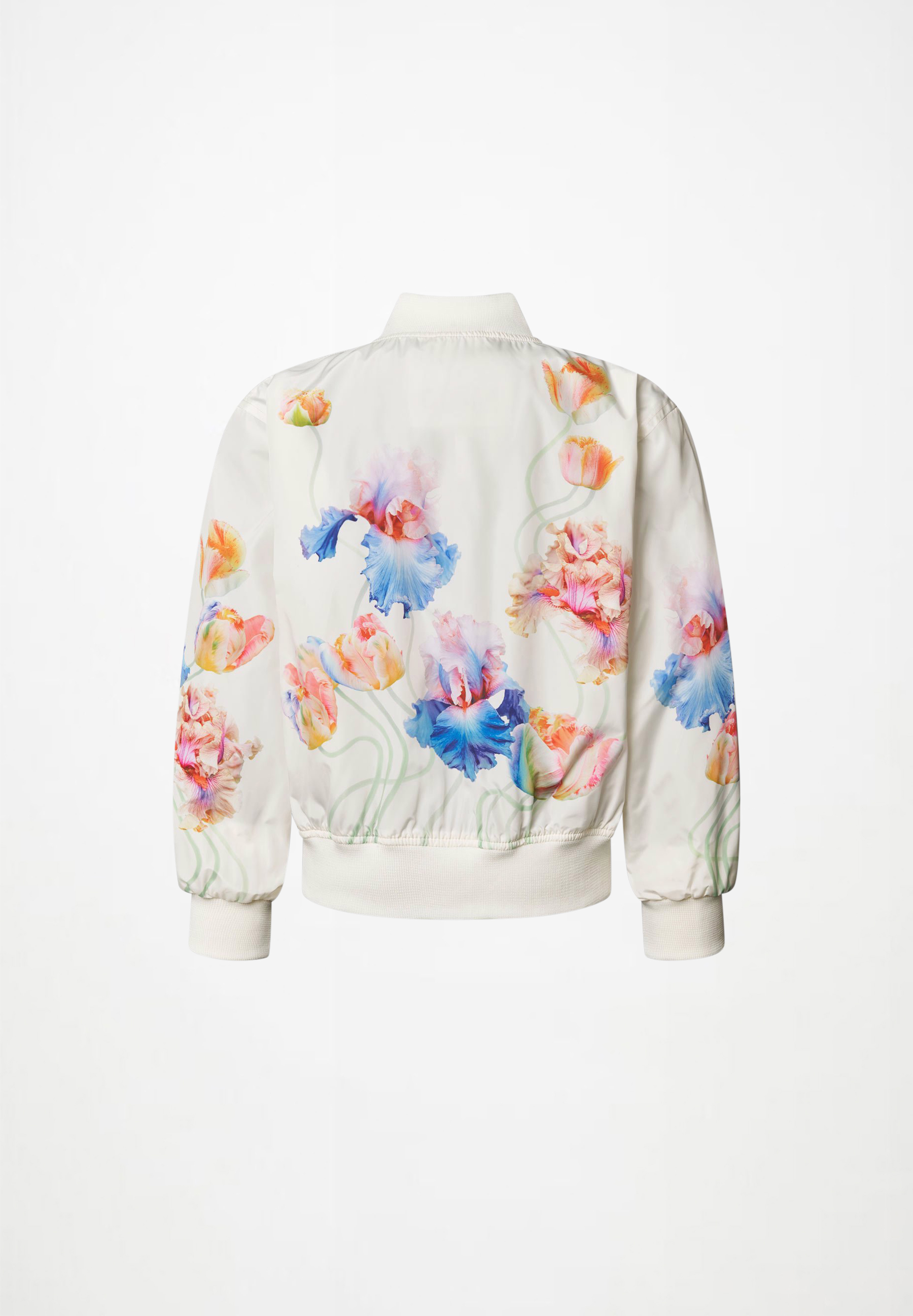 Haliva Tullips White