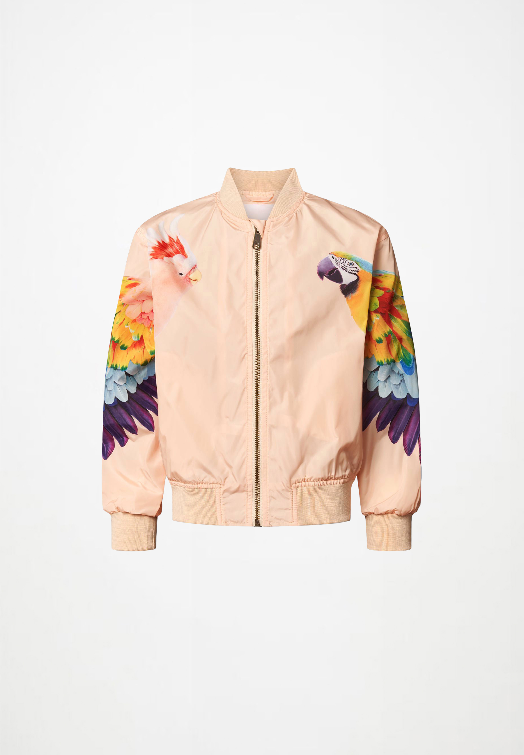 Haliva Fantasy Parrots