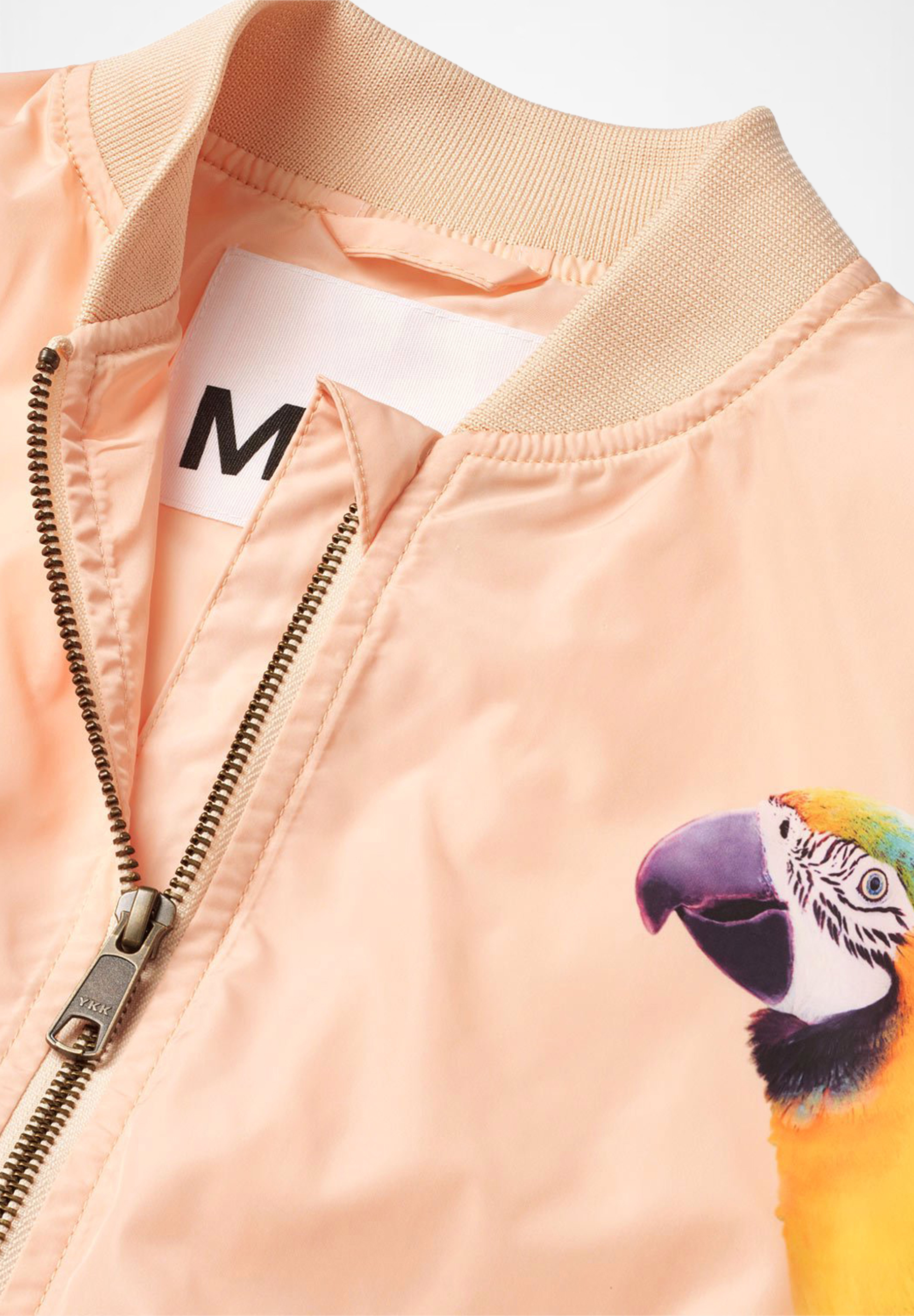 Haliva Fantasy Parrots