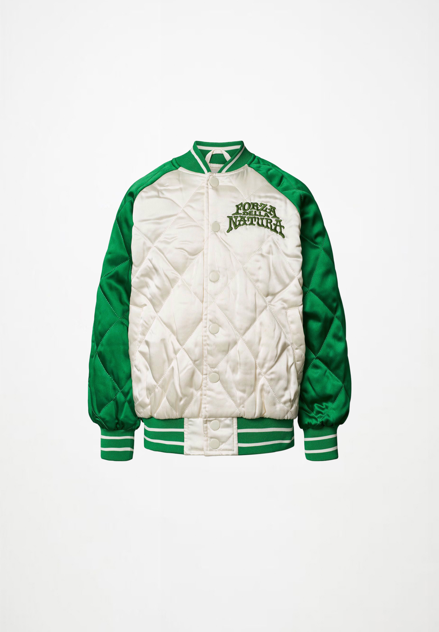 Haru Jaguar and snake