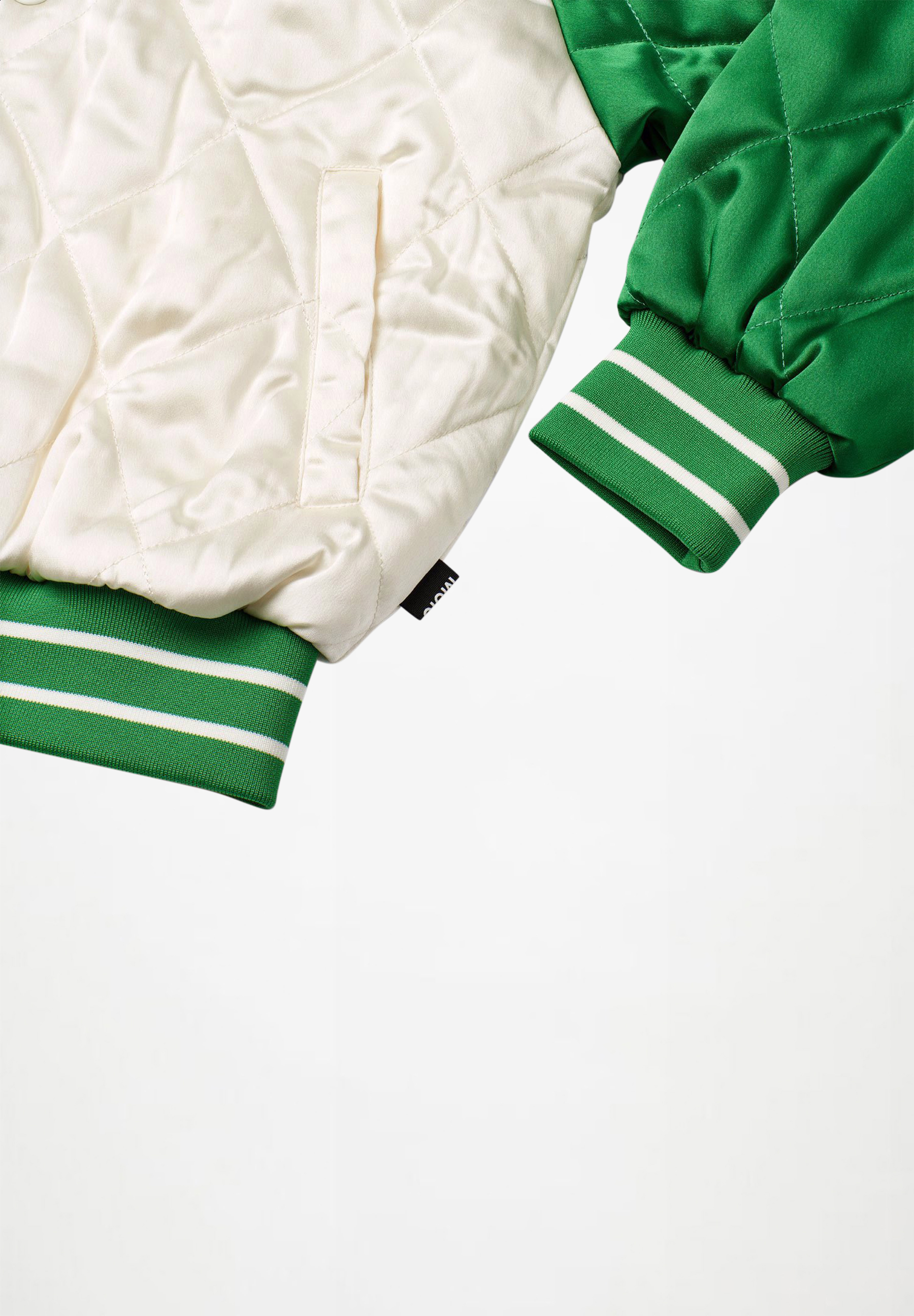 Haru Jaguar and snake