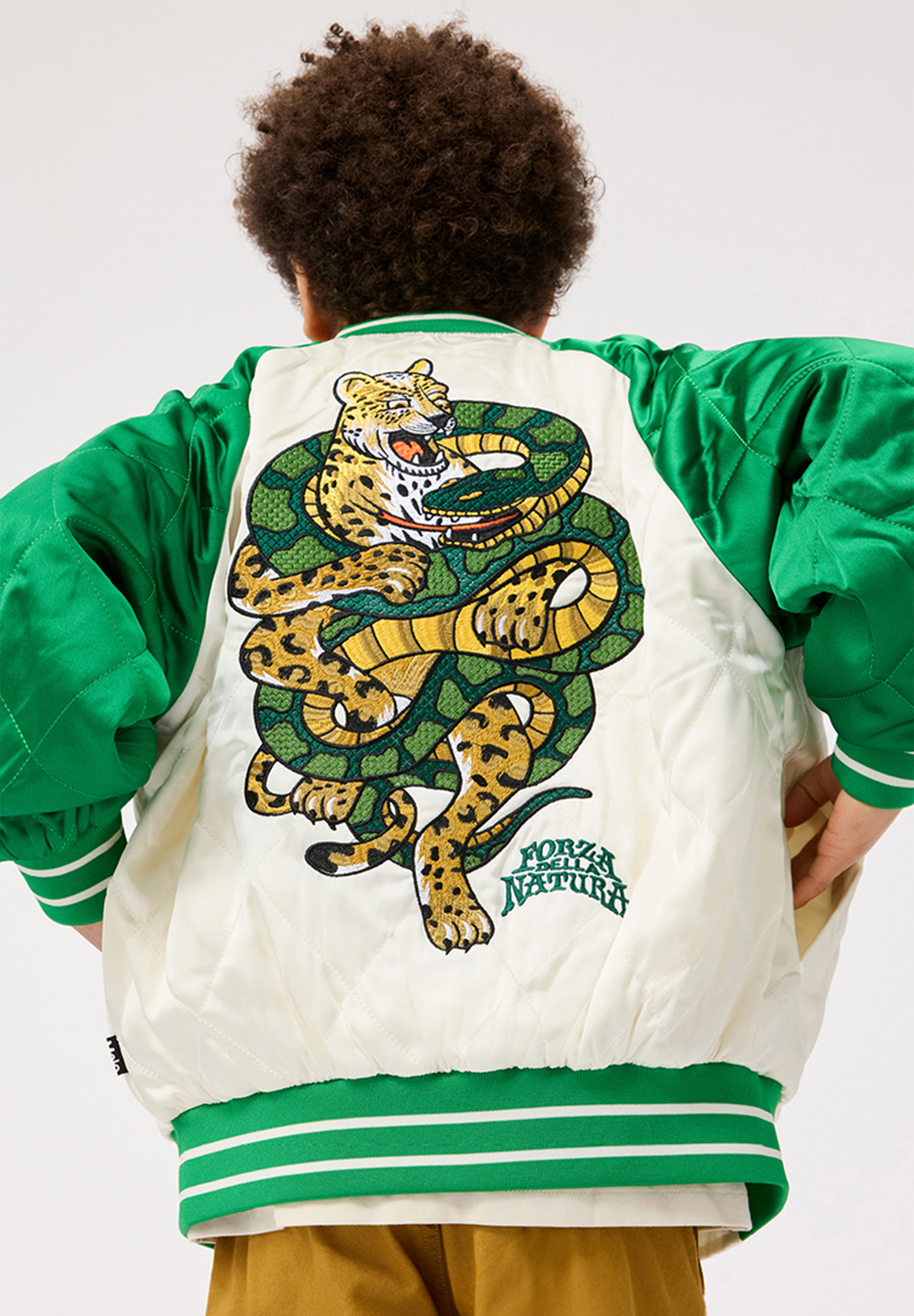 Haru Jaguar and snake