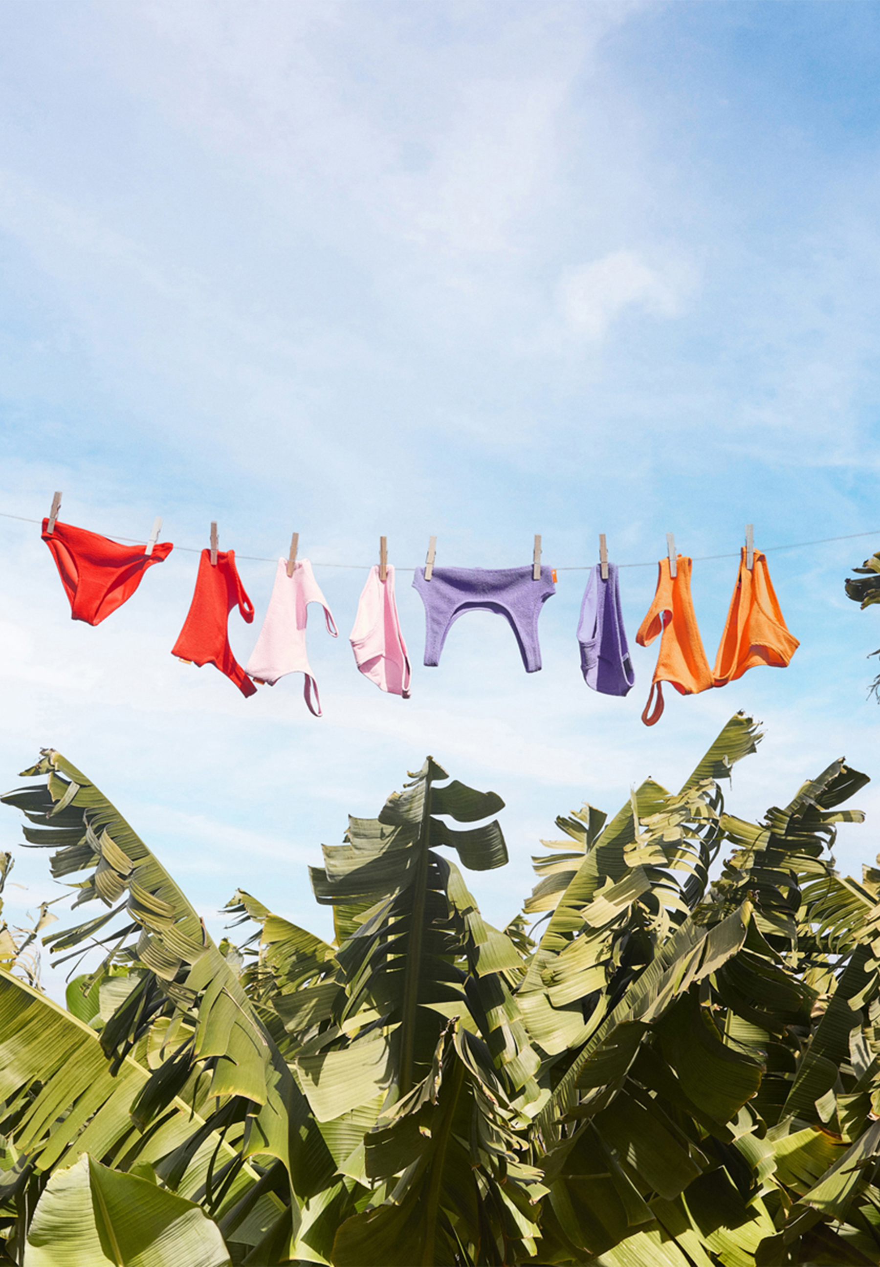 Nola Solid Strawberry Hot