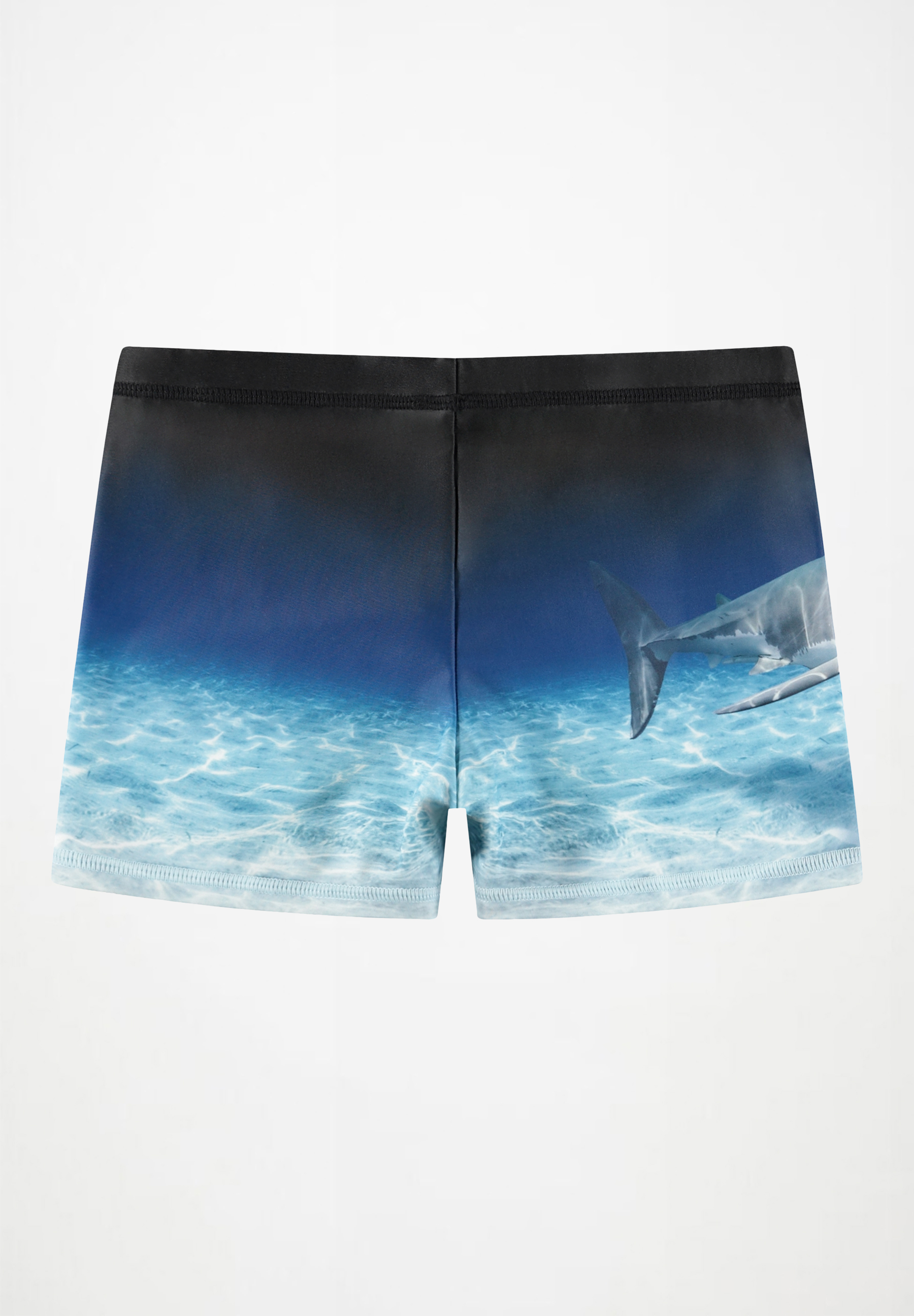 Norton Placed Faded Shark