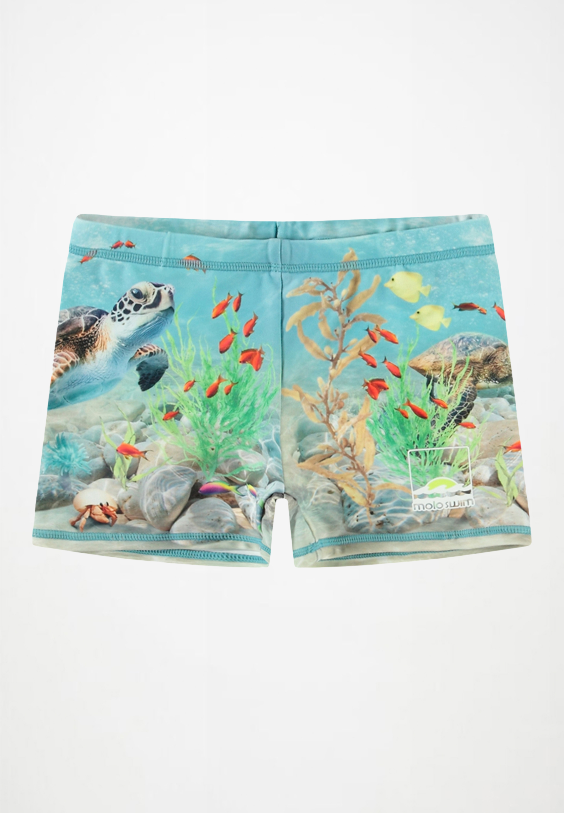 Norton Placed Trunks