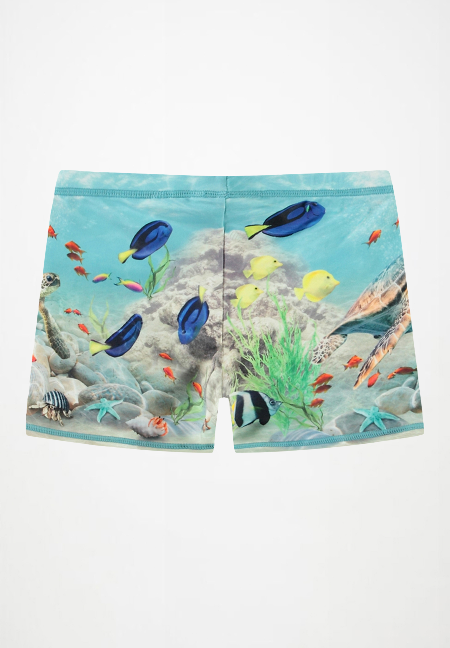 Norton Placed Happy Ocean