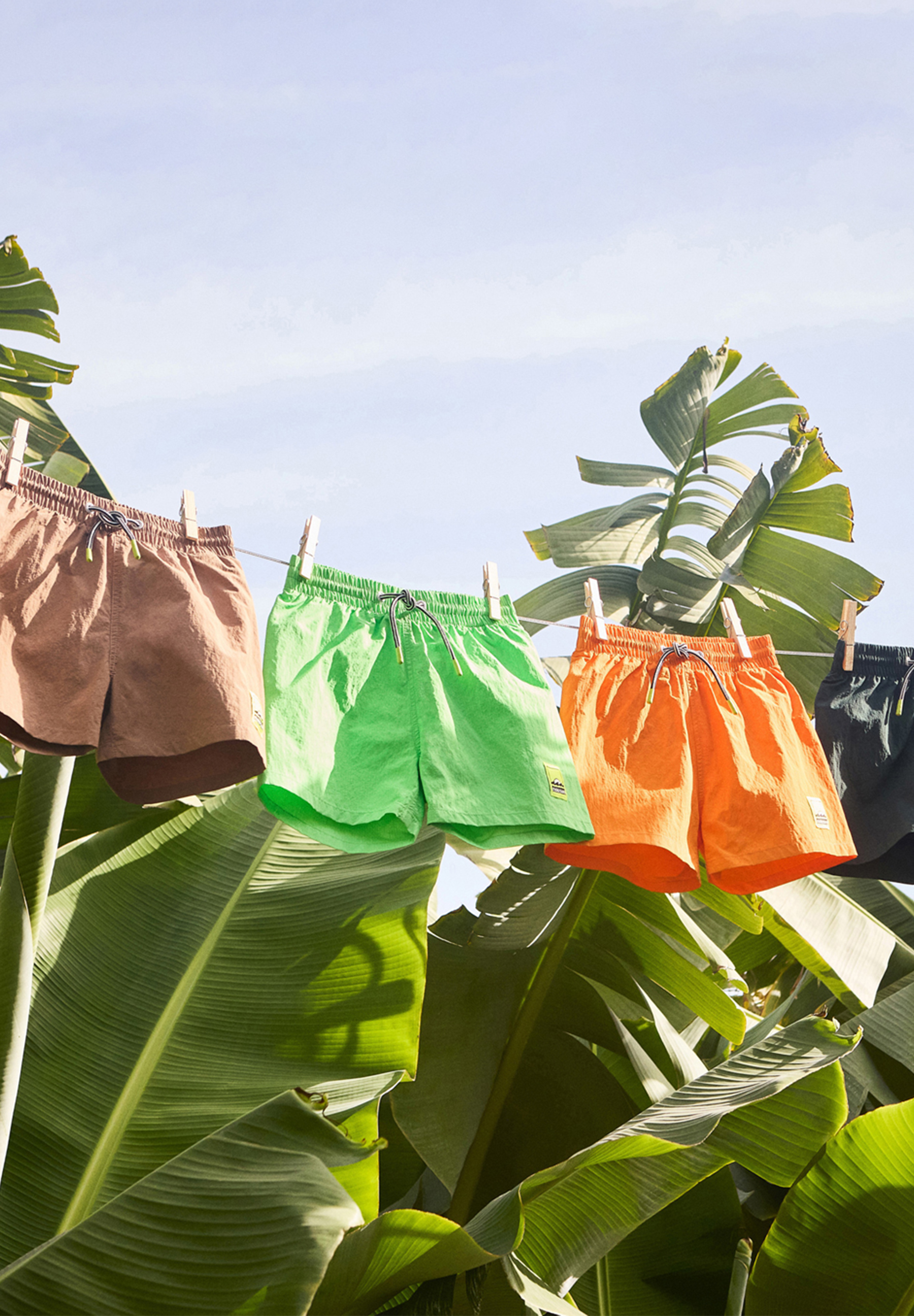 Niko Solid Sandalwood