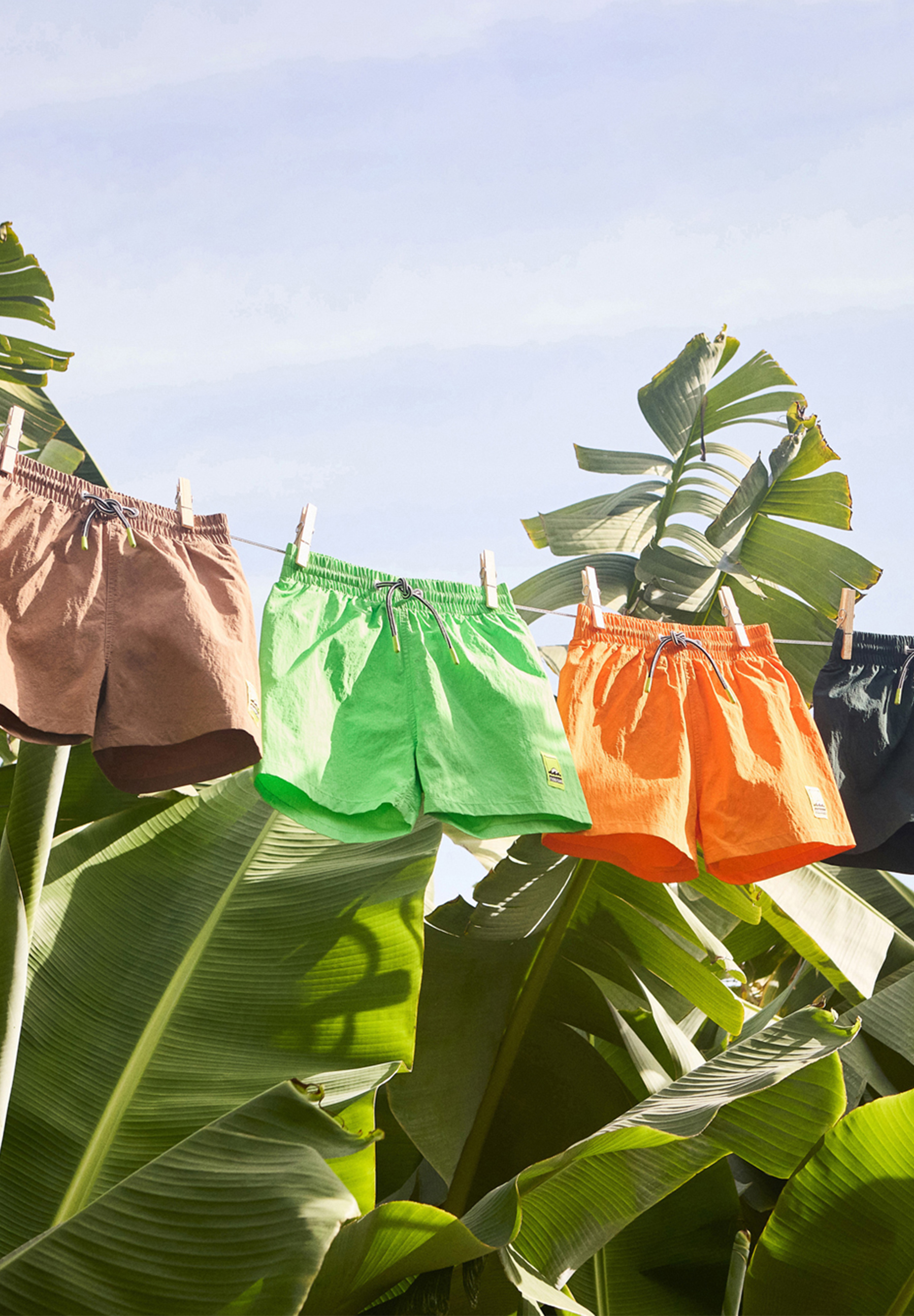 Niko Solid Green Vibes