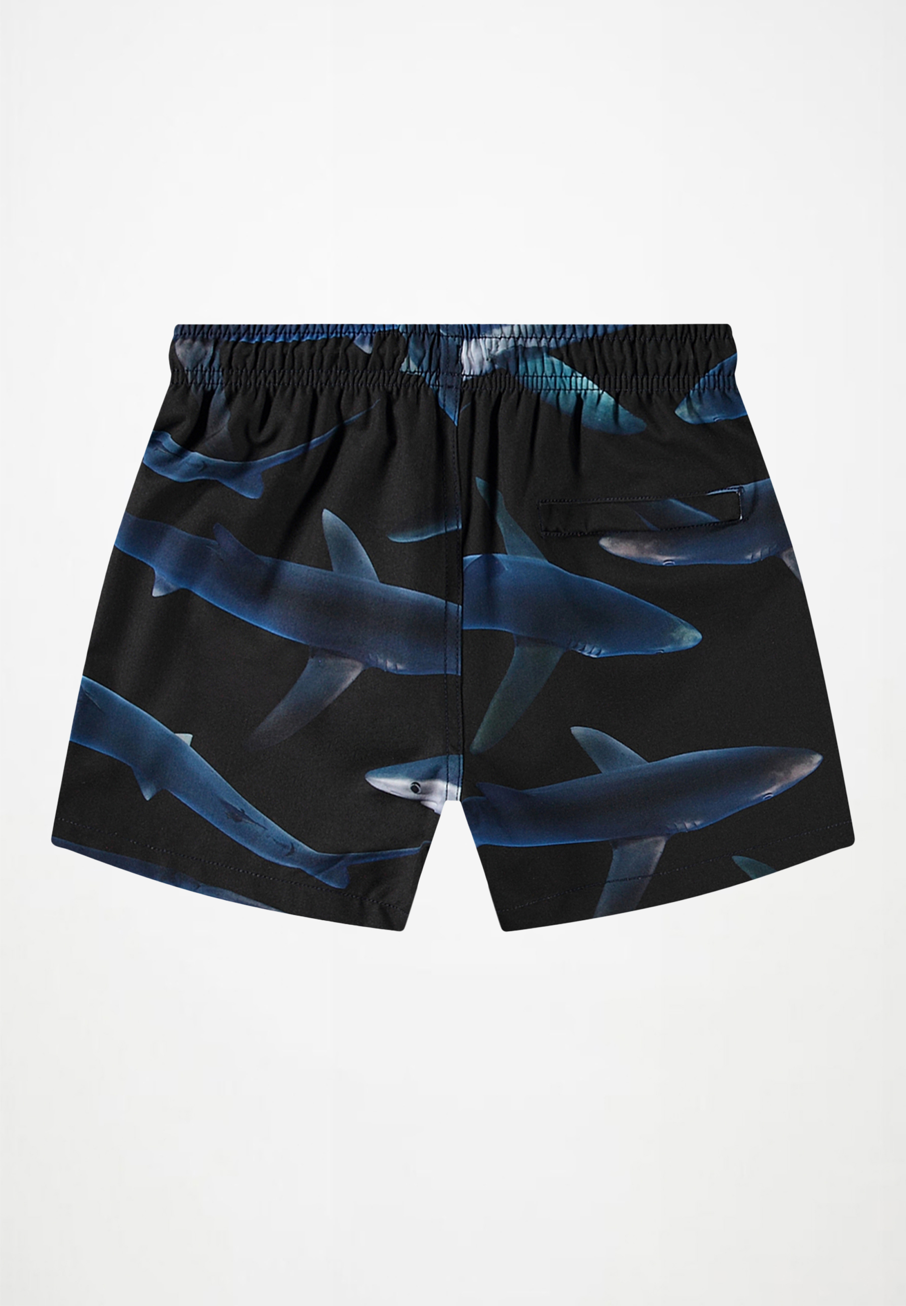 Niko Midnight Sharks