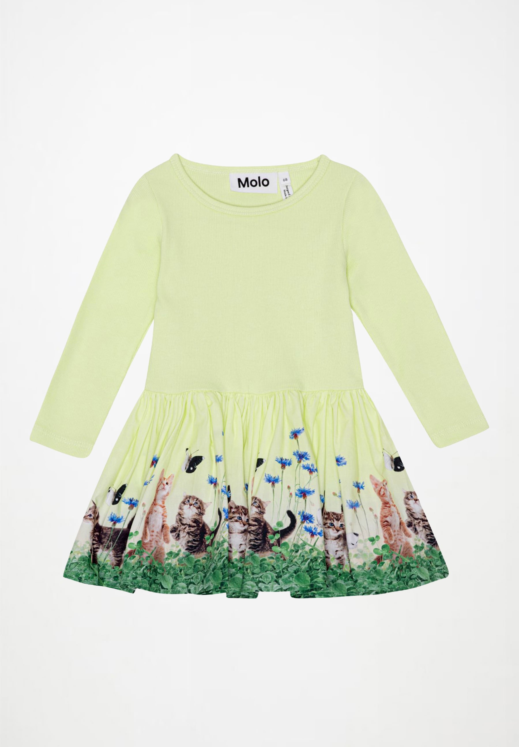 Candi Yin Yang Kitten