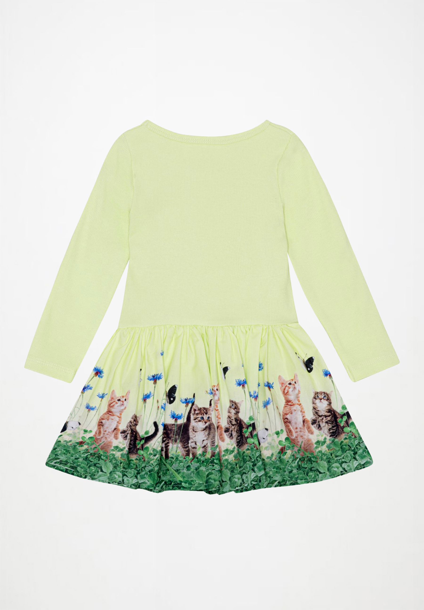 Candi Yin Yang Kitten