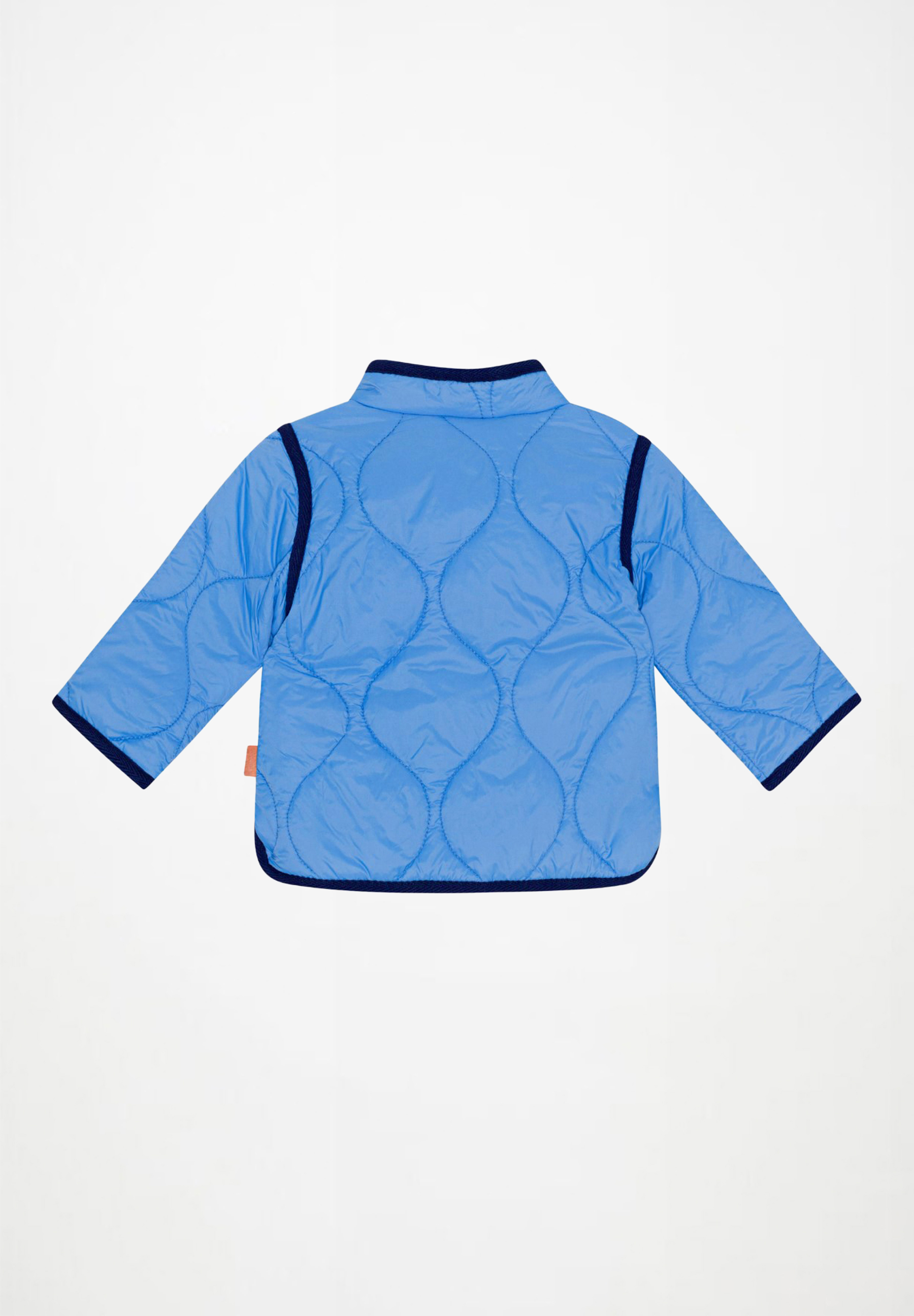 Harrie Forget Me Not