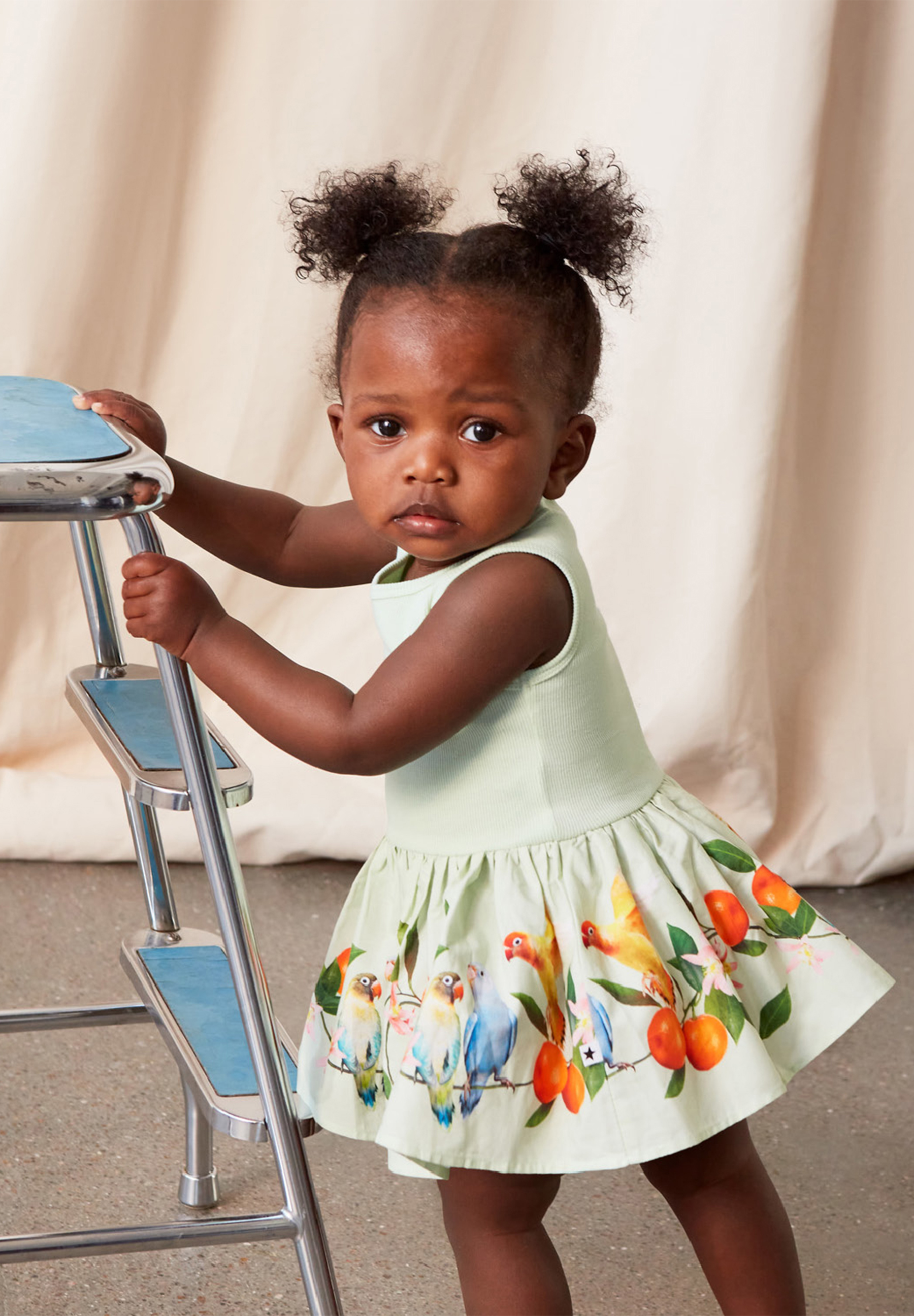 Cordelia Sweet Parakeet