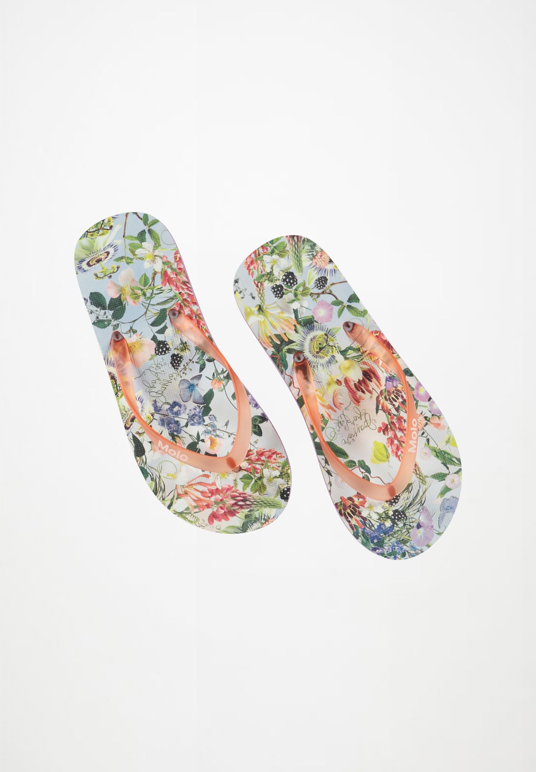 Zeppo Passion For Life