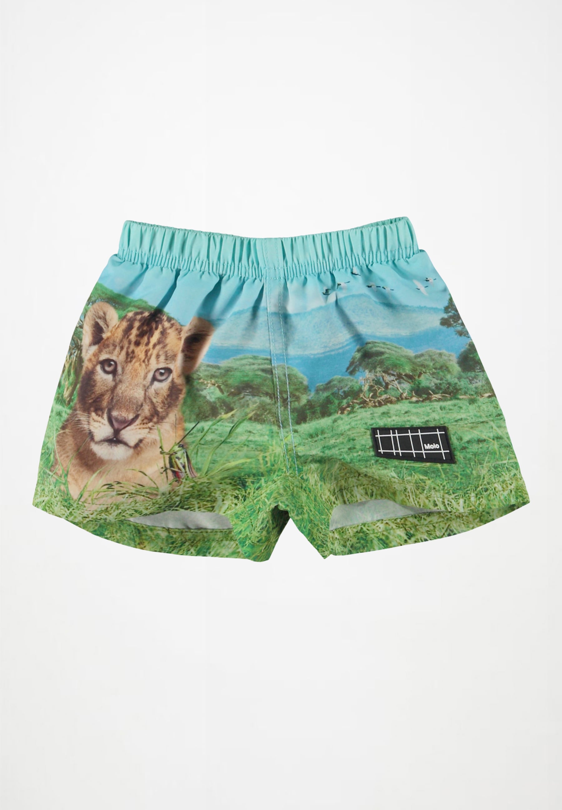 Newton Shorts