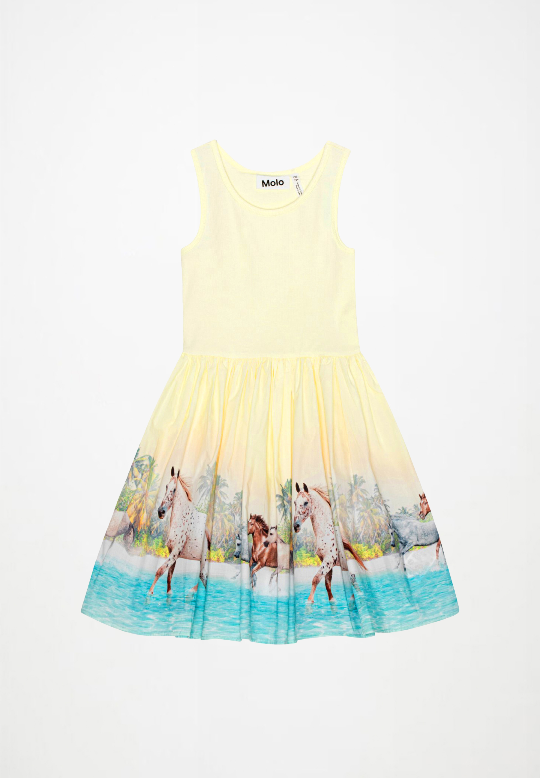 Cassandra Beach Horses