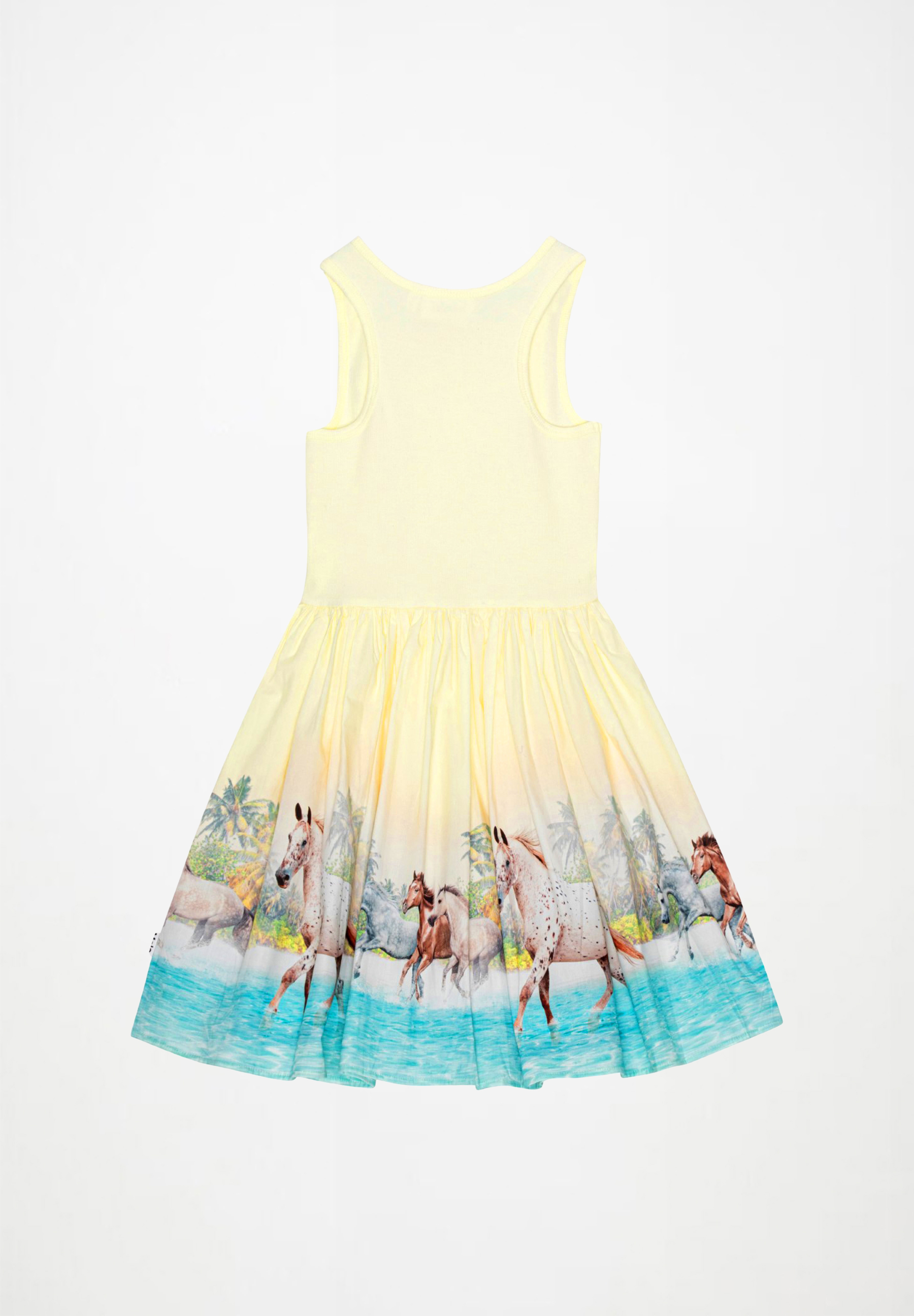 Cassandra Beach Horses