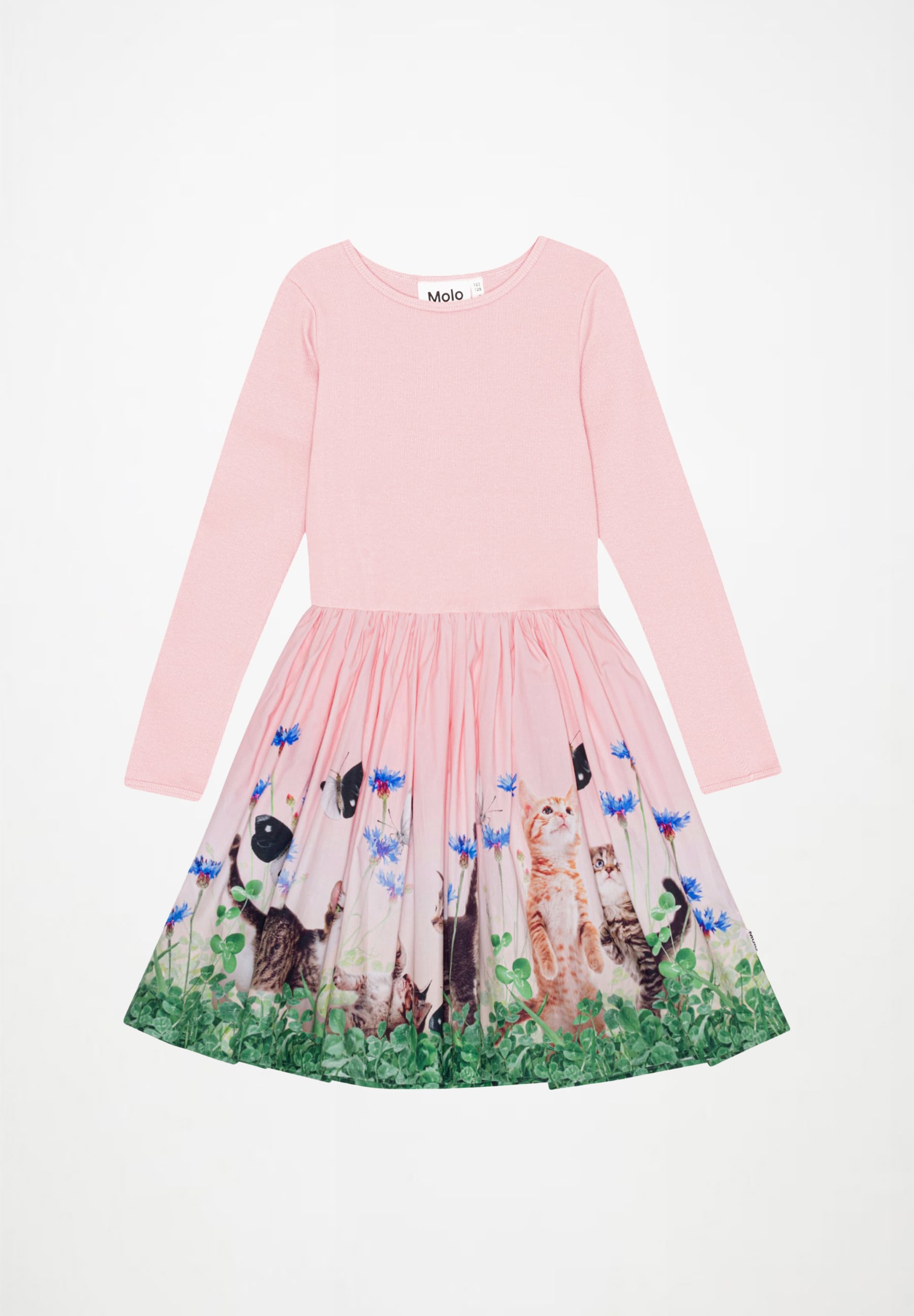 Casie Yin Yang Kitten