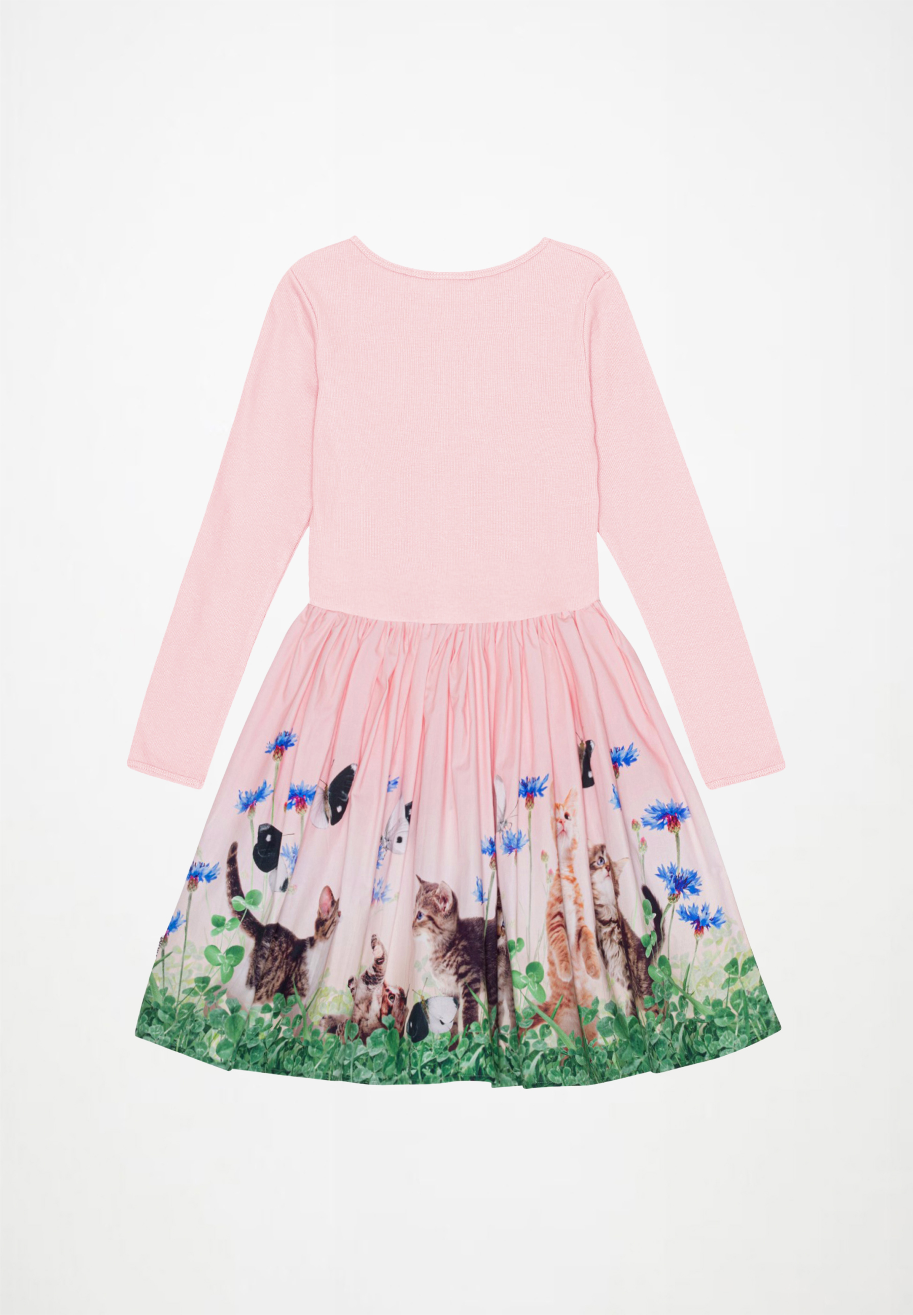 Casie Yin Yang Kitten