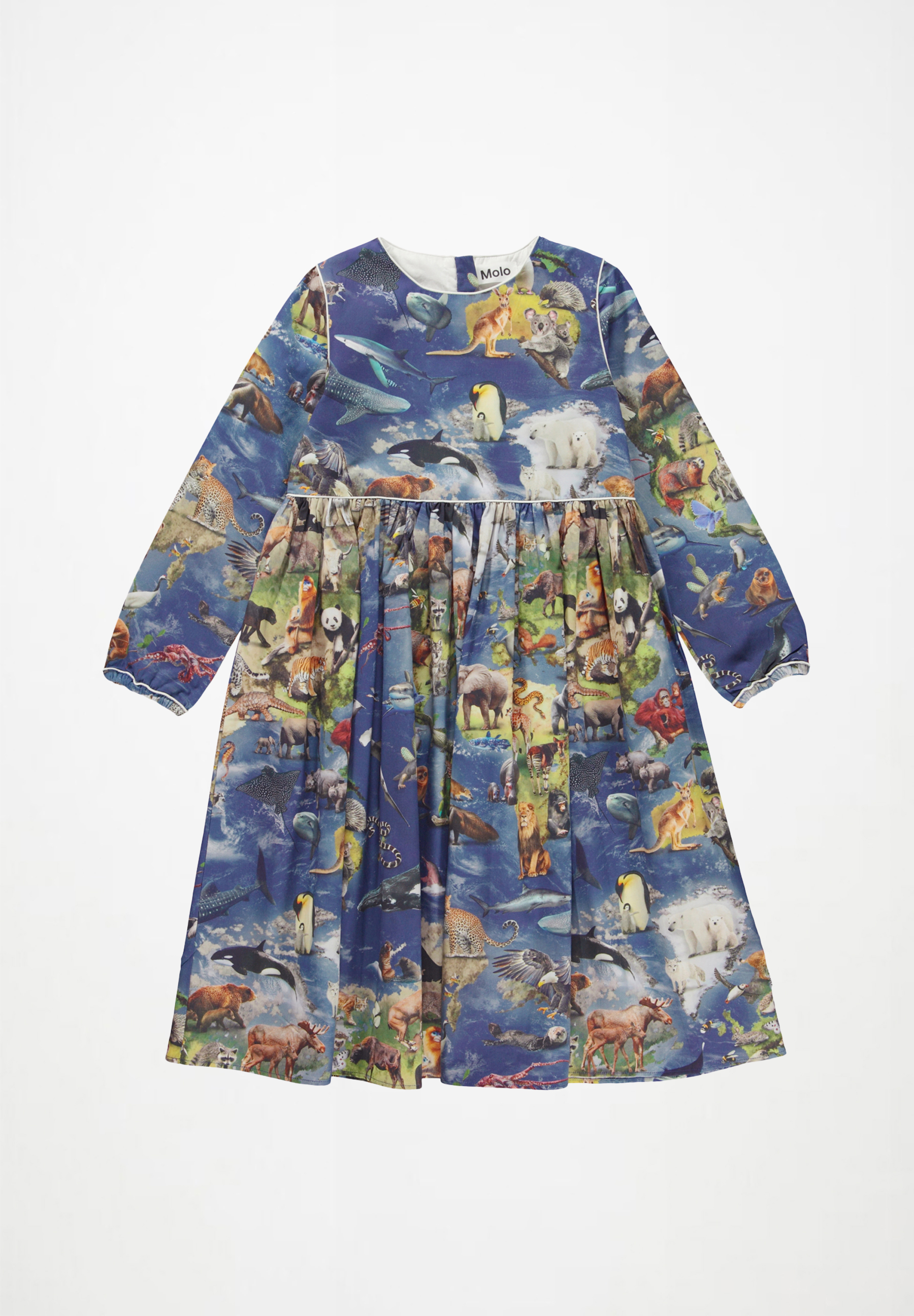 Cassiopeia Amazing Earth