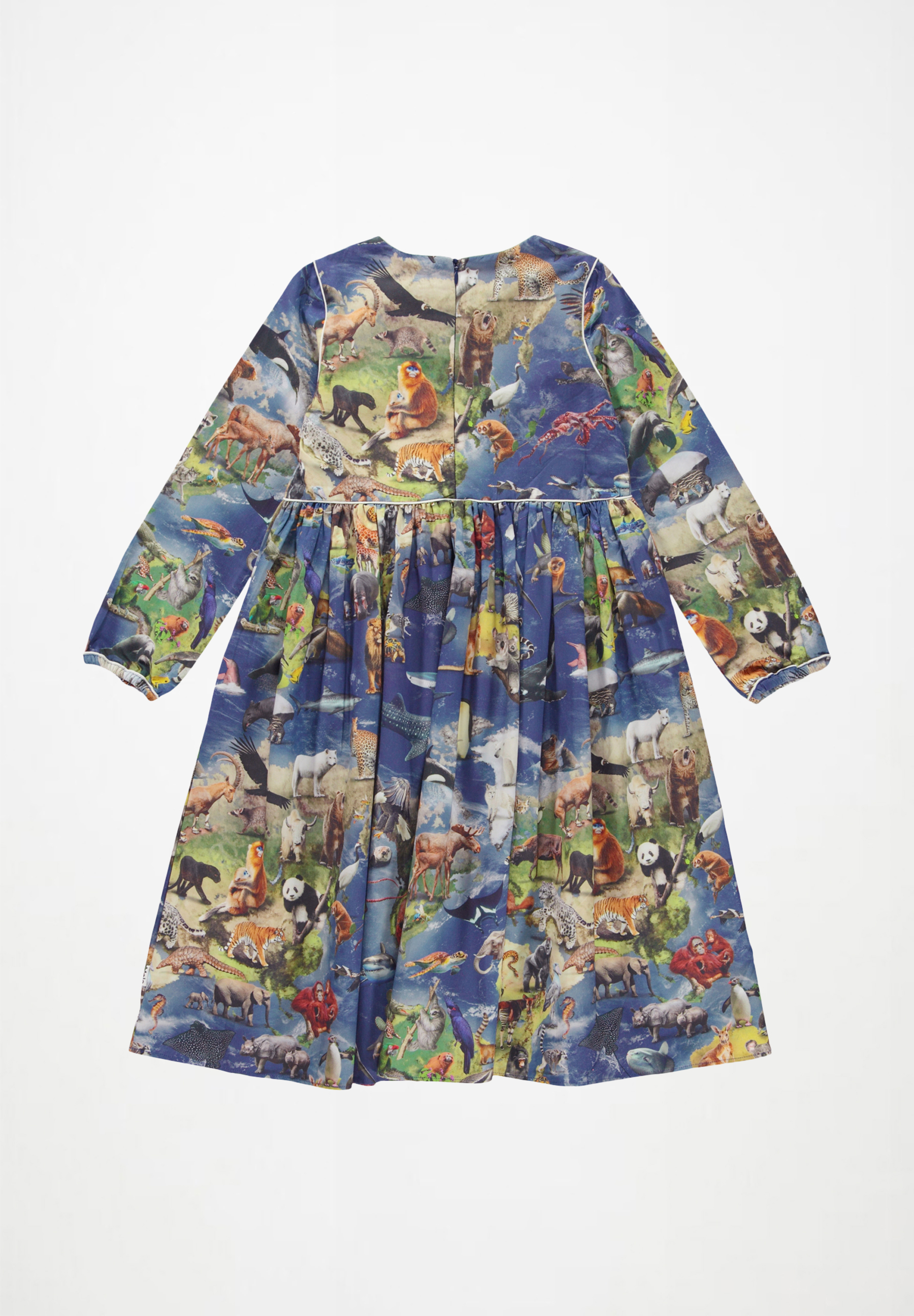 Cassiopeia Amazing Earth