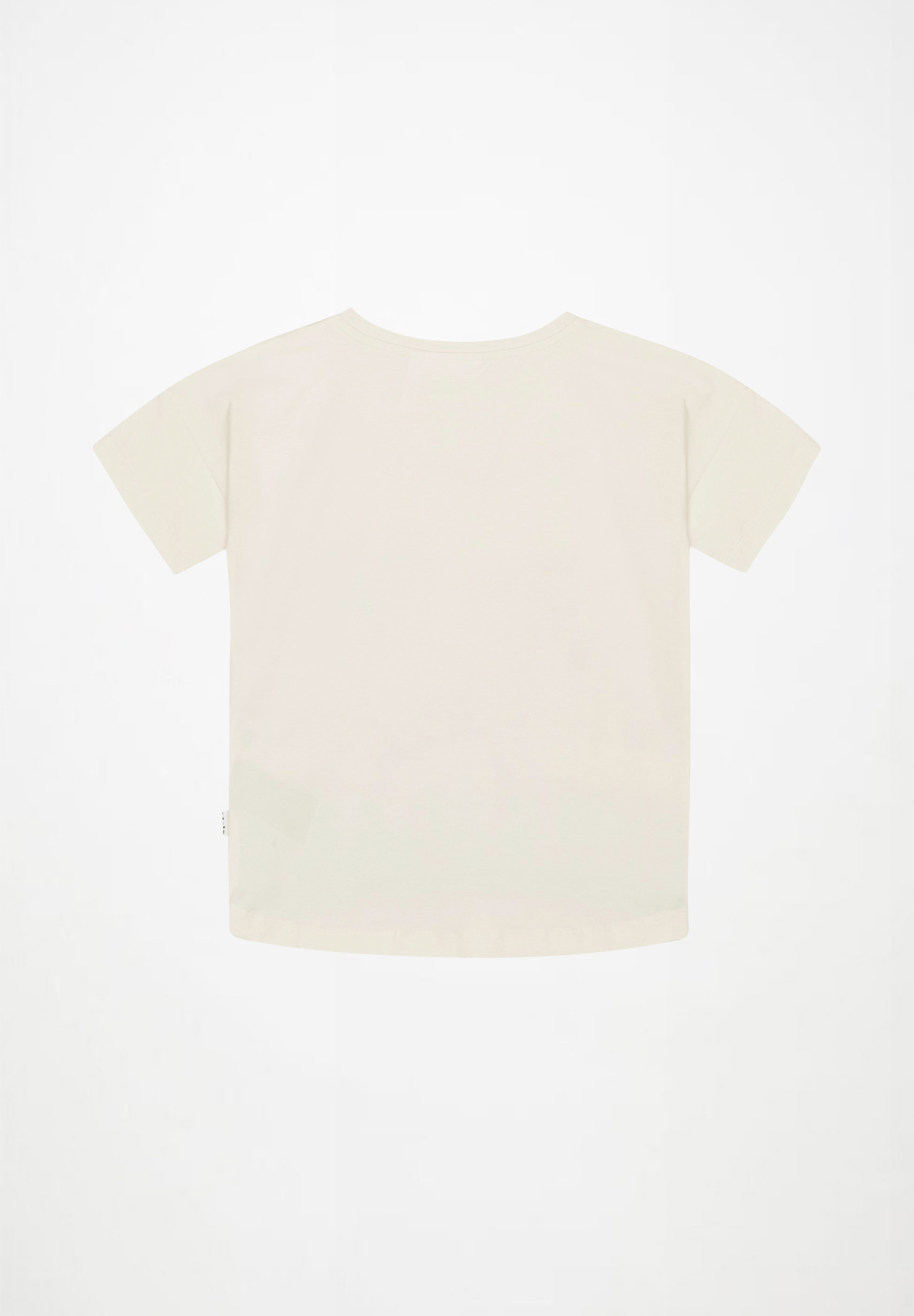 Raeesa Horse on Beach