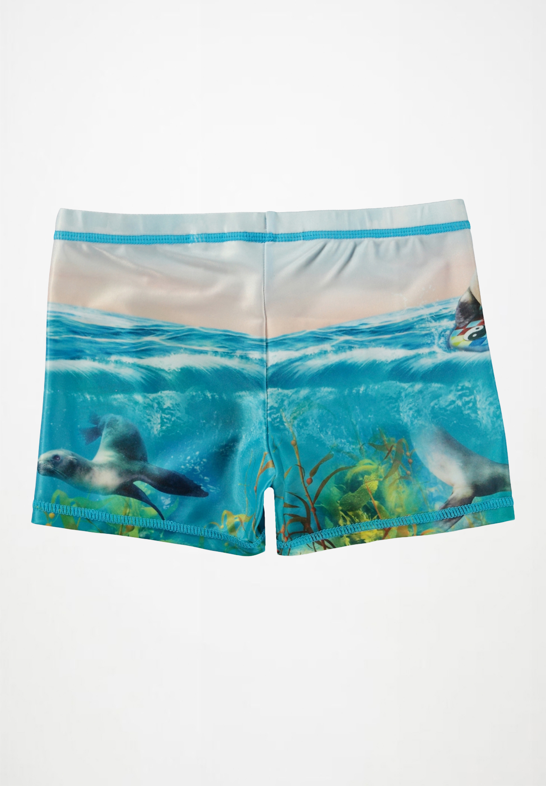 Norton Placed Sealion