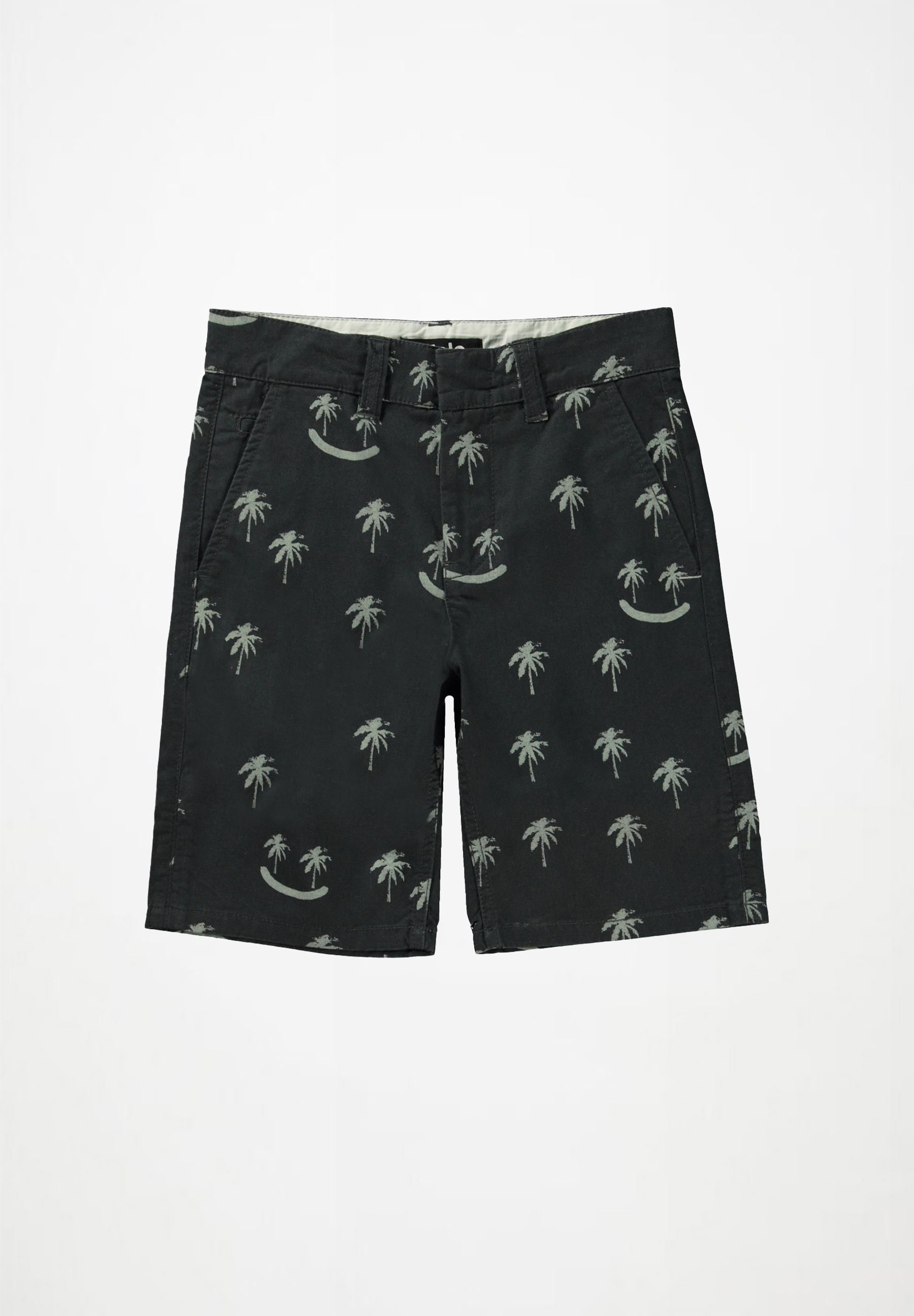 Alan Smile Palmtrees