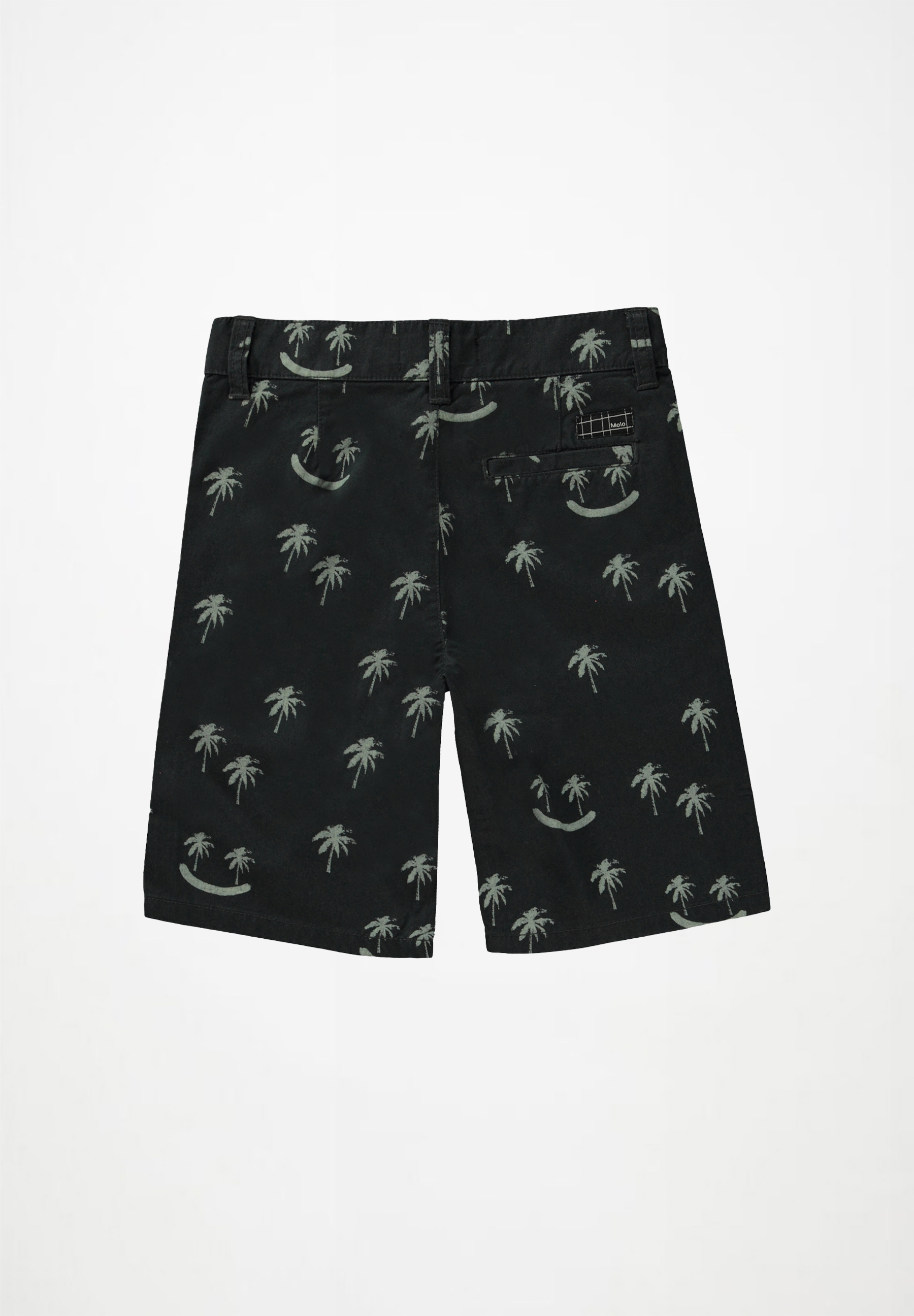 Alan Smile Palmtrees