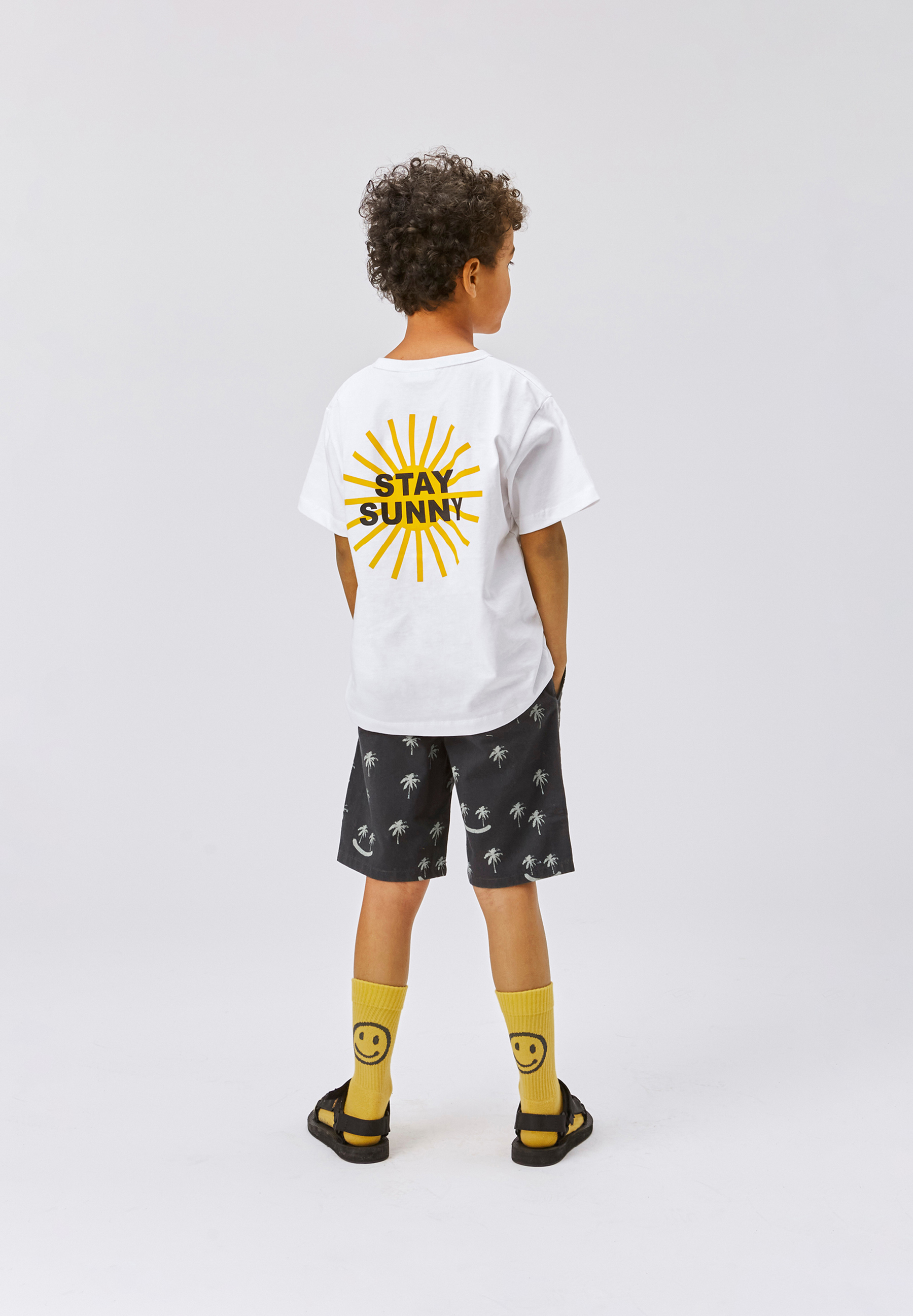 Alan Smile Palmtrees