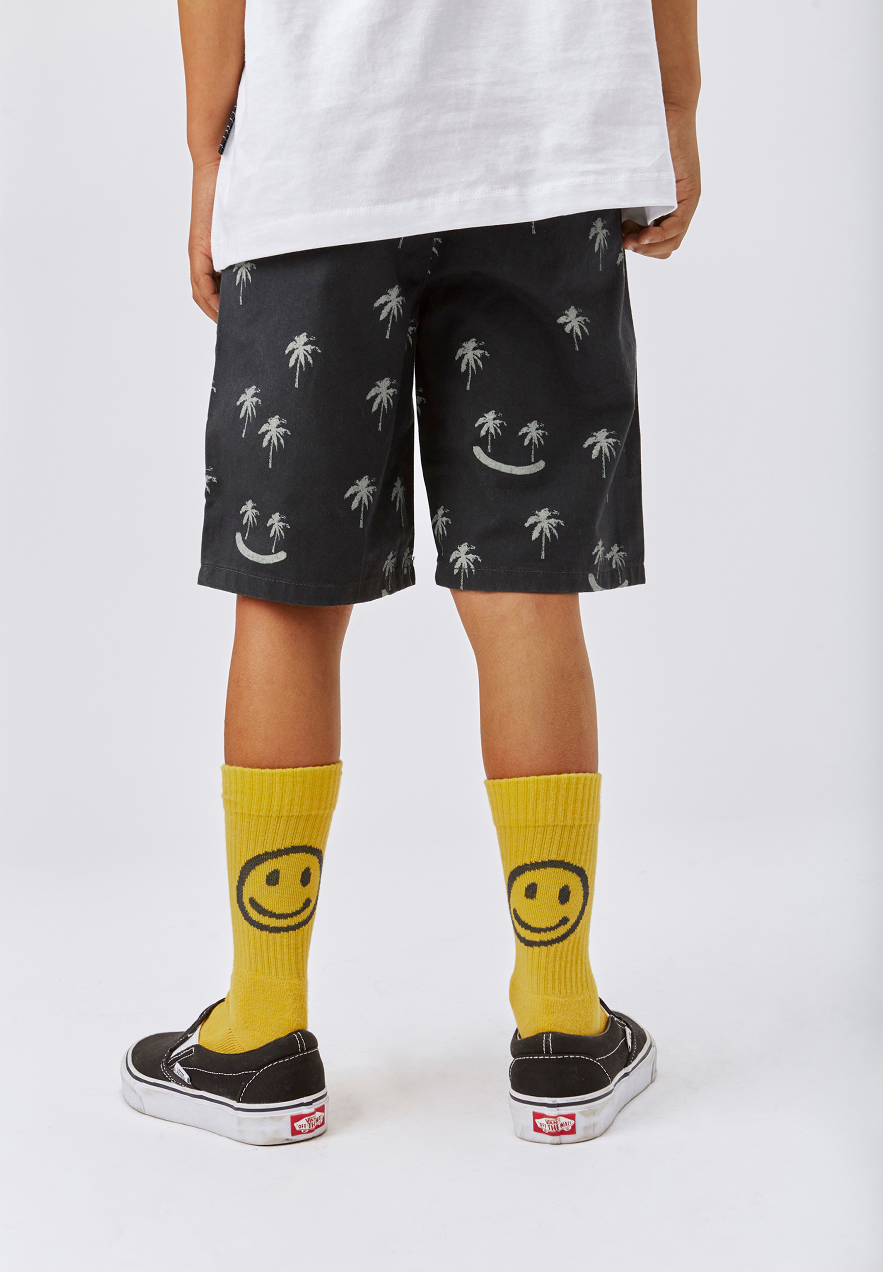 Alan Smile Palmtrees