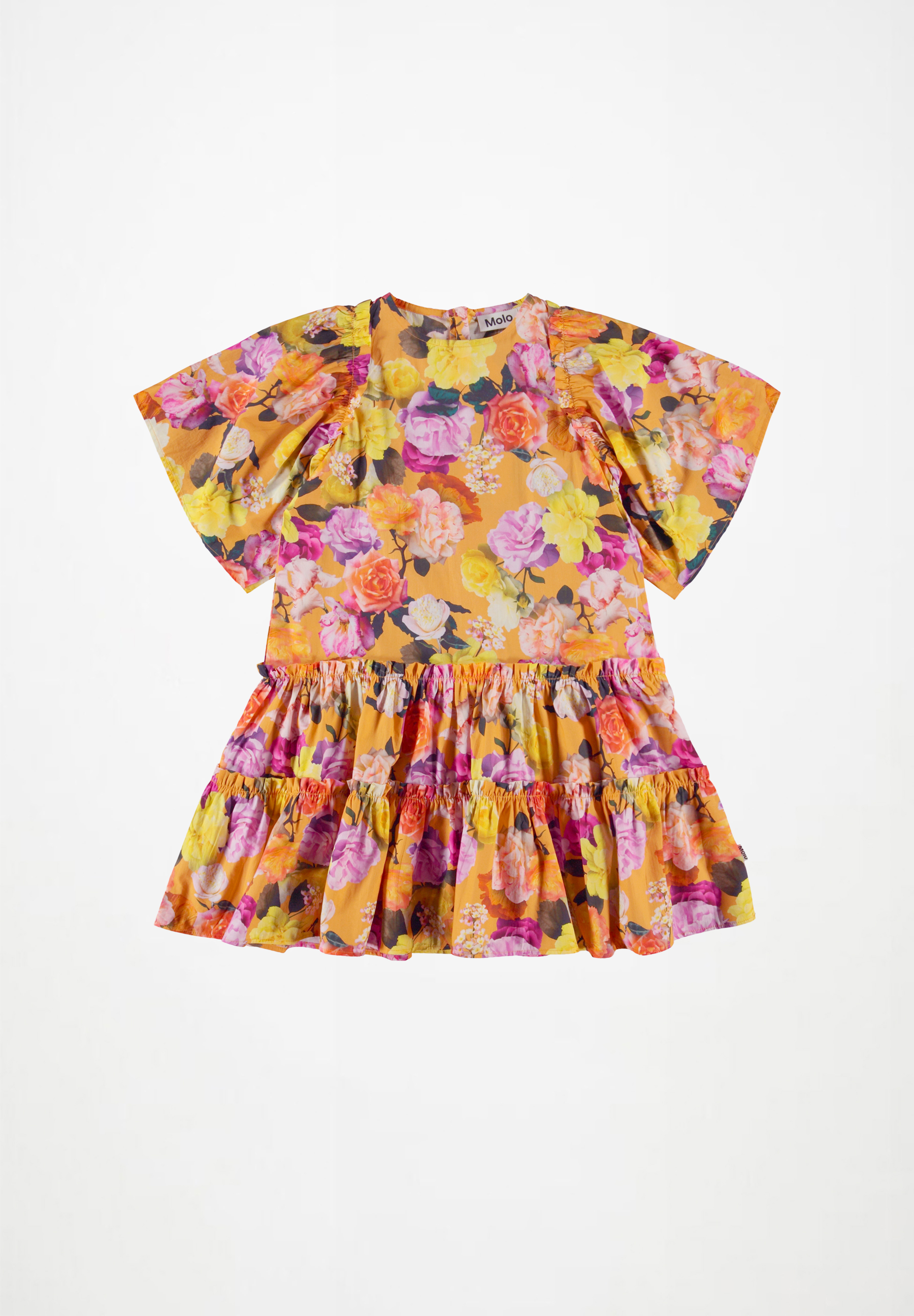 Cat Clementine Roses