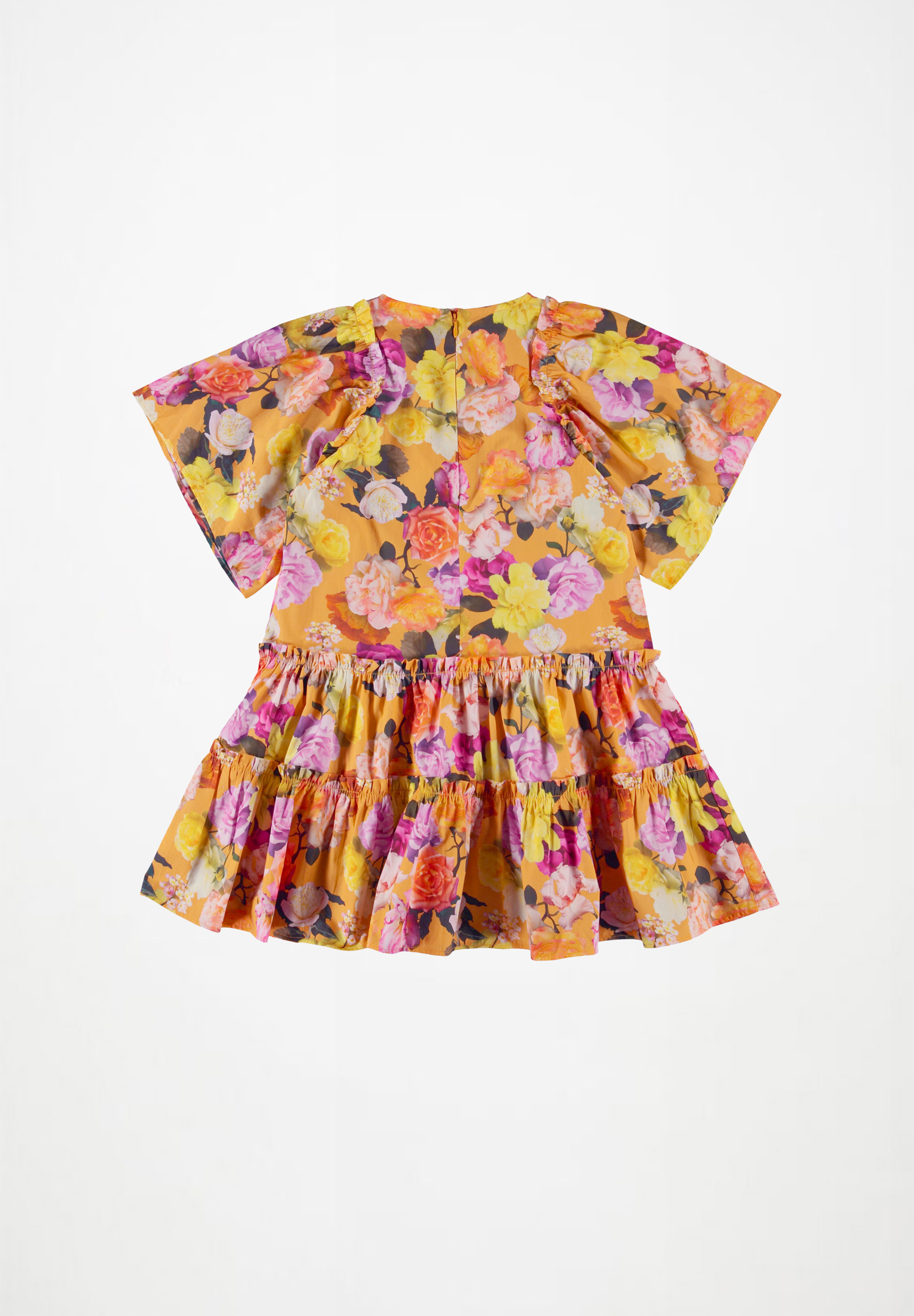 Cat Clementine Roses