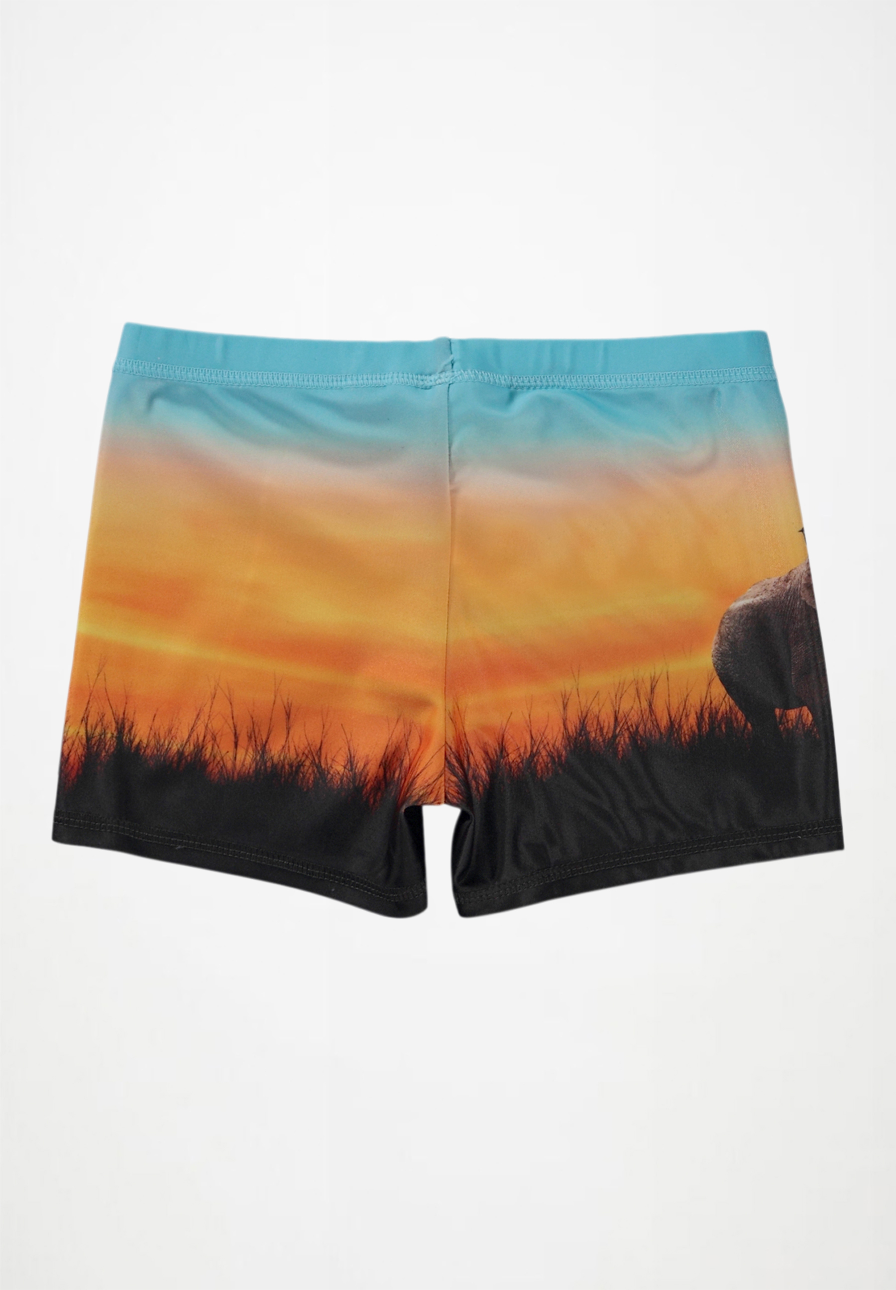 Norton Placed Happy Sun