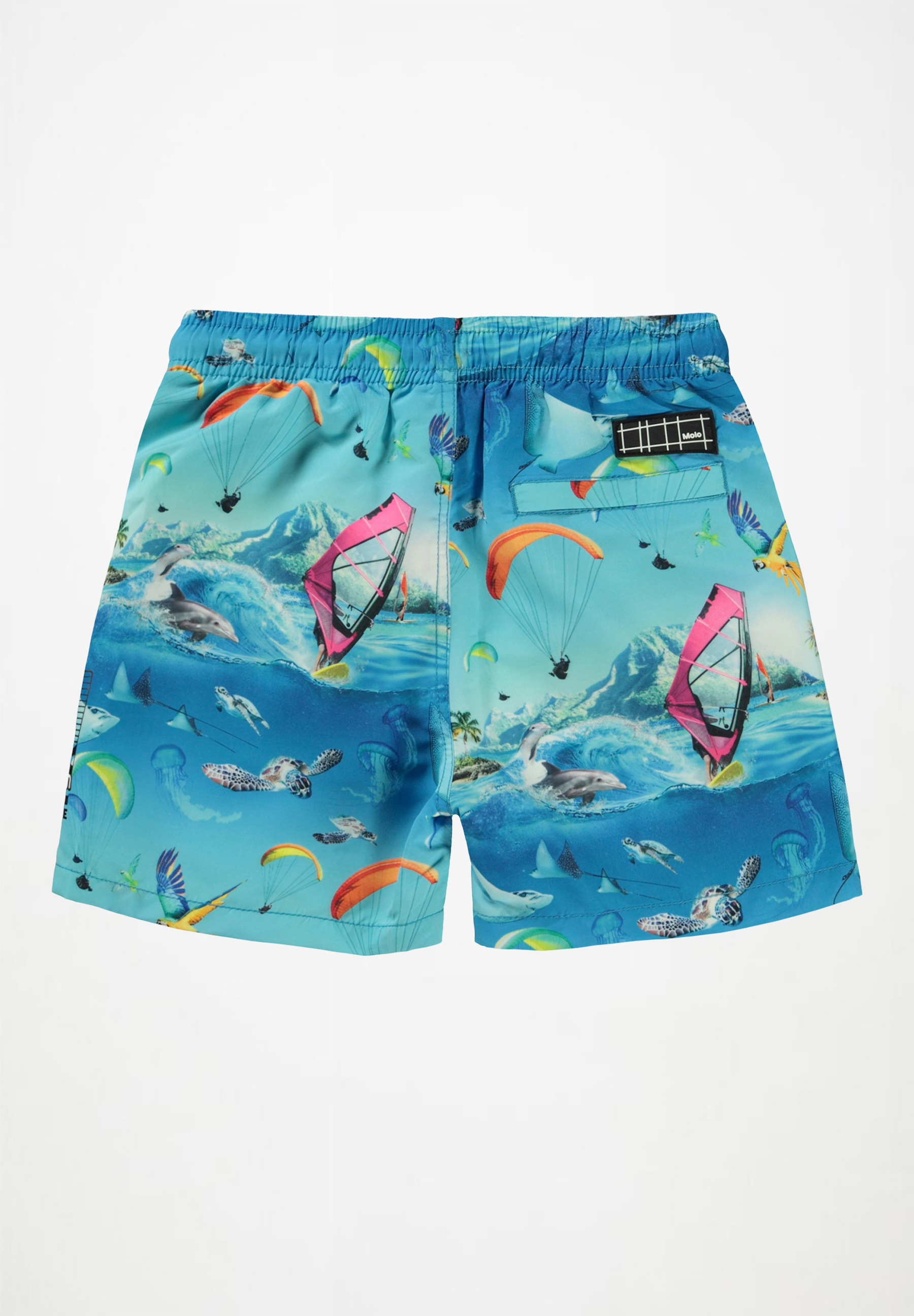 Niko Passion For Motion