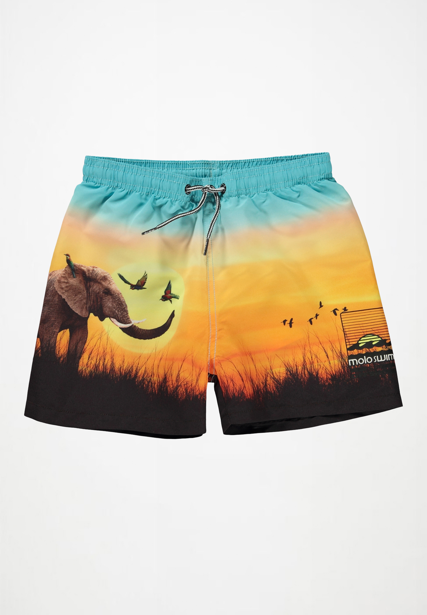 Niko Shorts