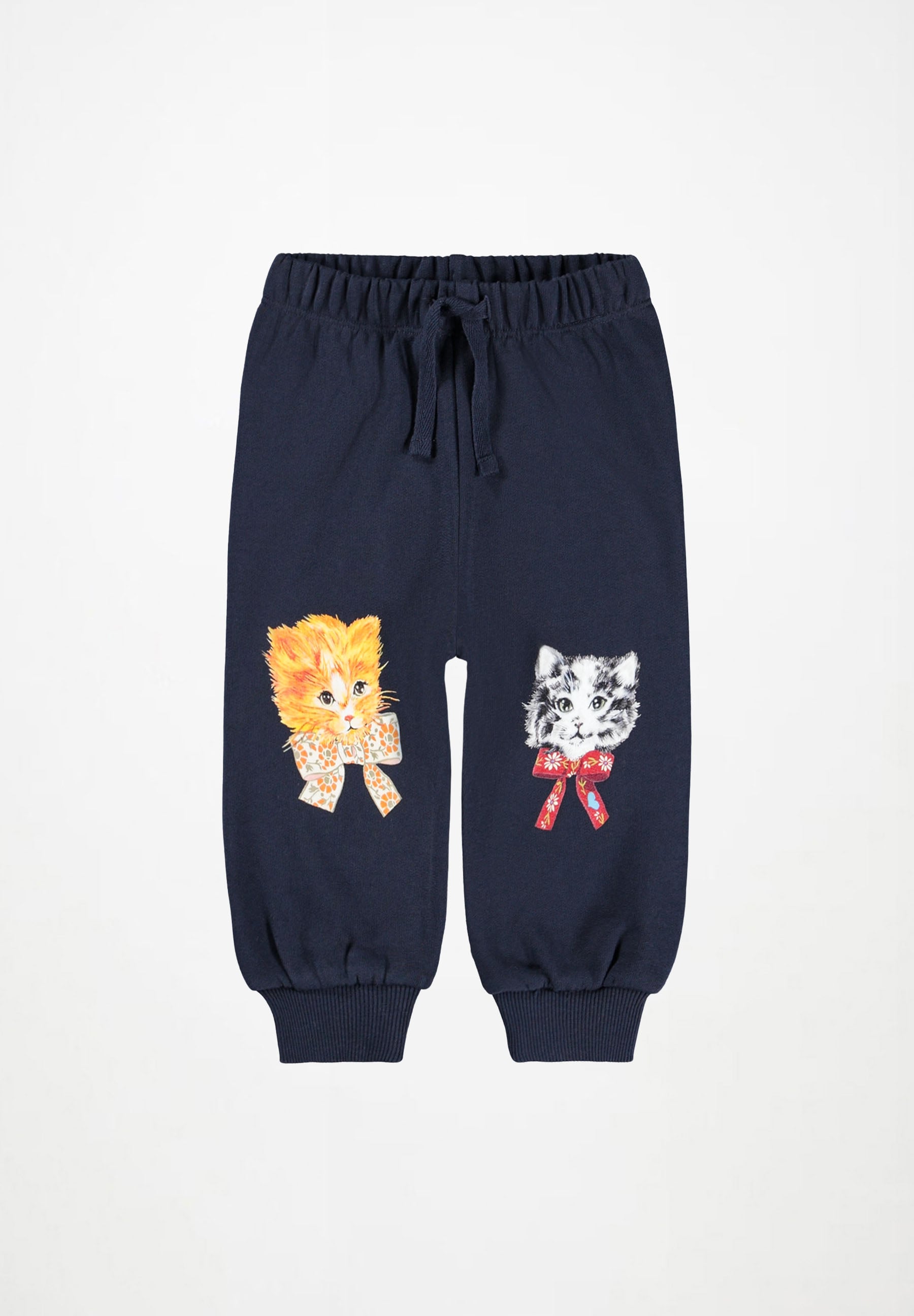 Simeon Fancy Kittens
