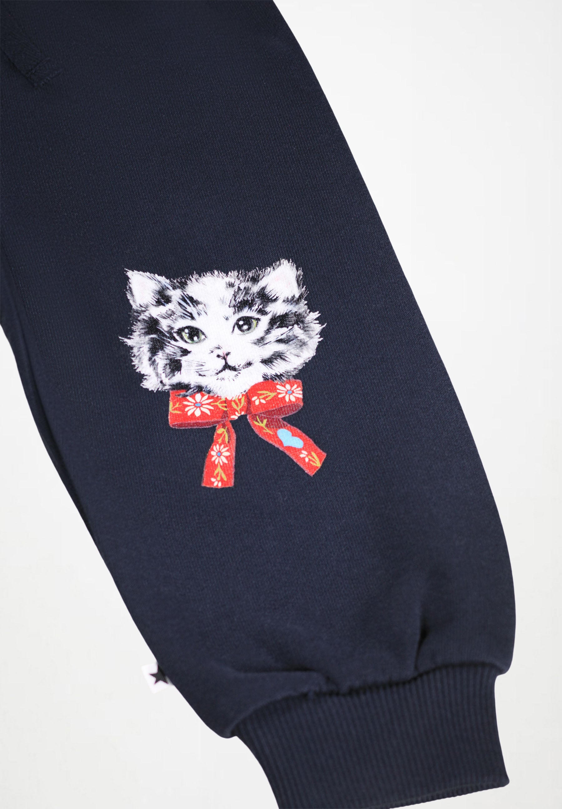 Simeon Fancy Kittens