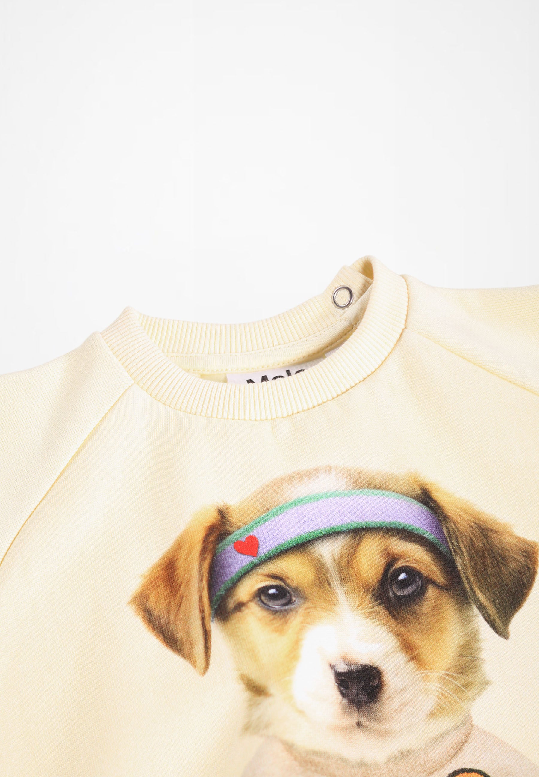 Disc Game Pup