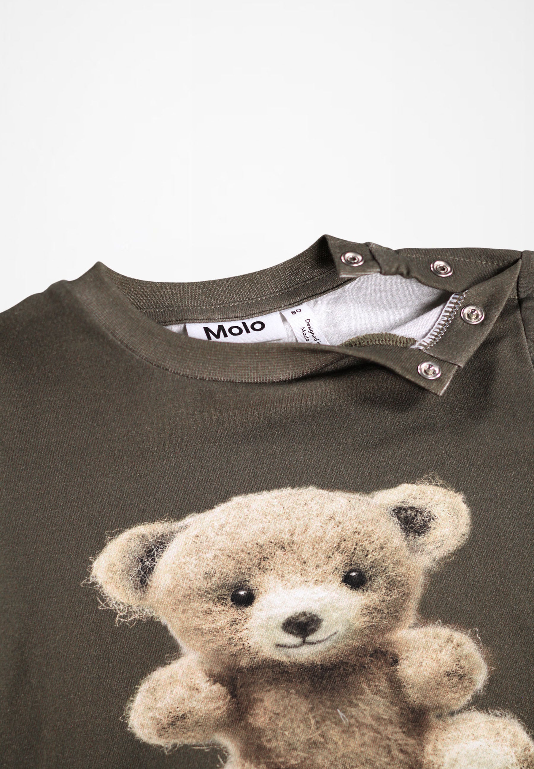 Eloy Felt Bear